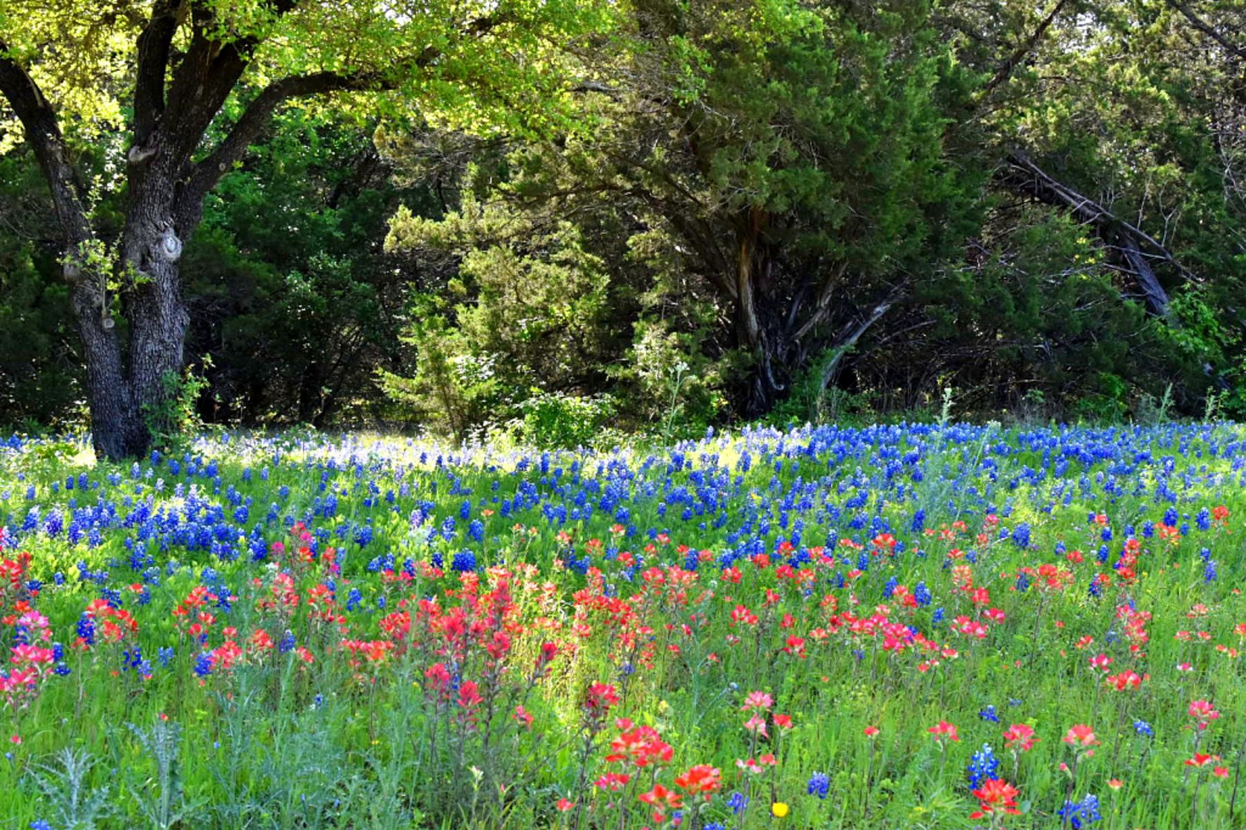 1500 County Road 2850 Kopperl TX 76652