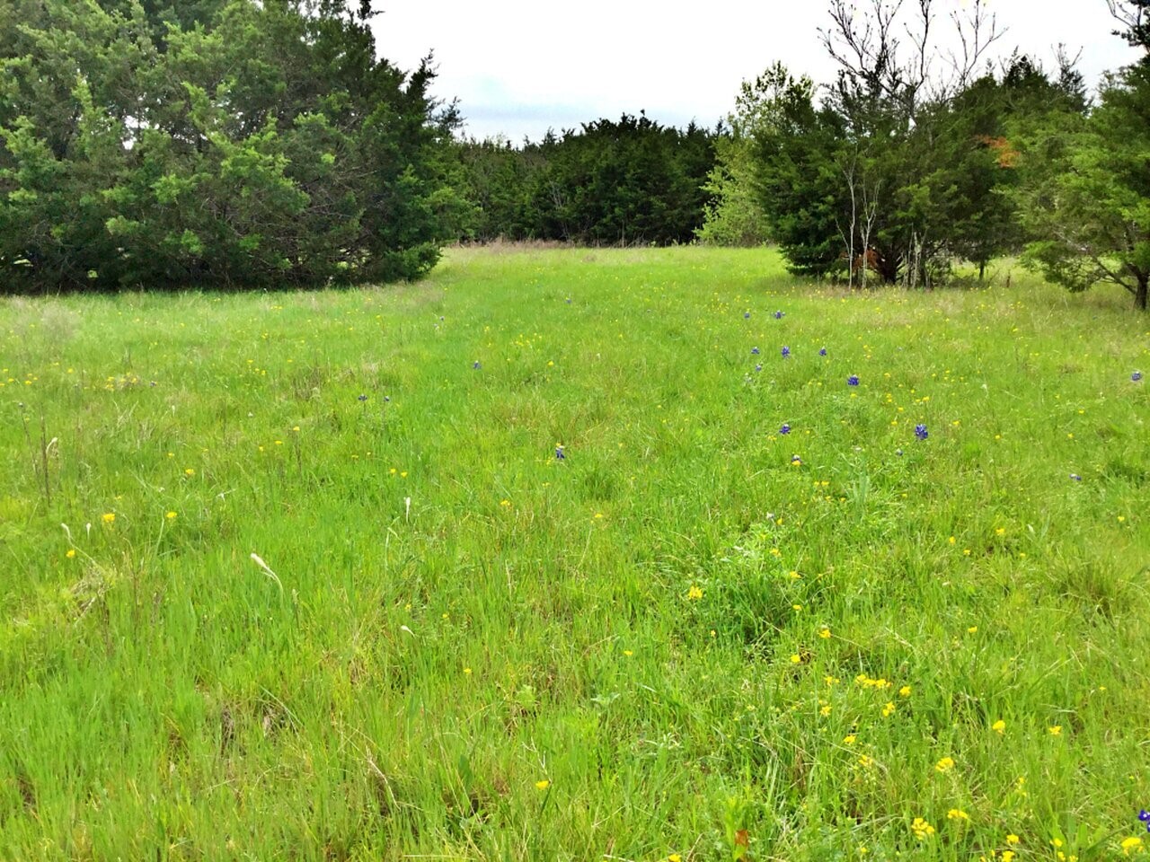1500 County Road 2850 Kopperl TX 76652