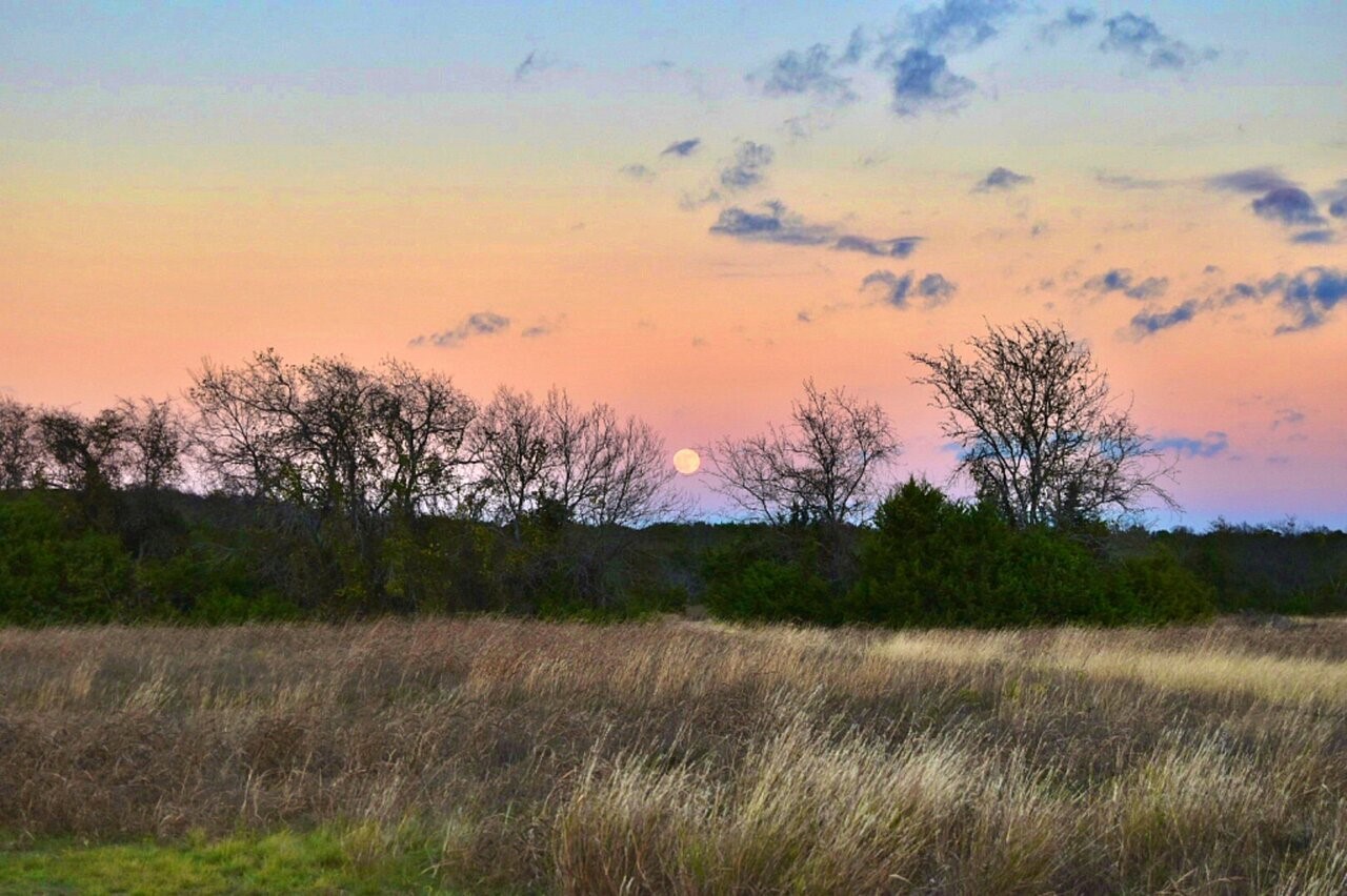 1500 County Road 2850 Kopperl TX 76652