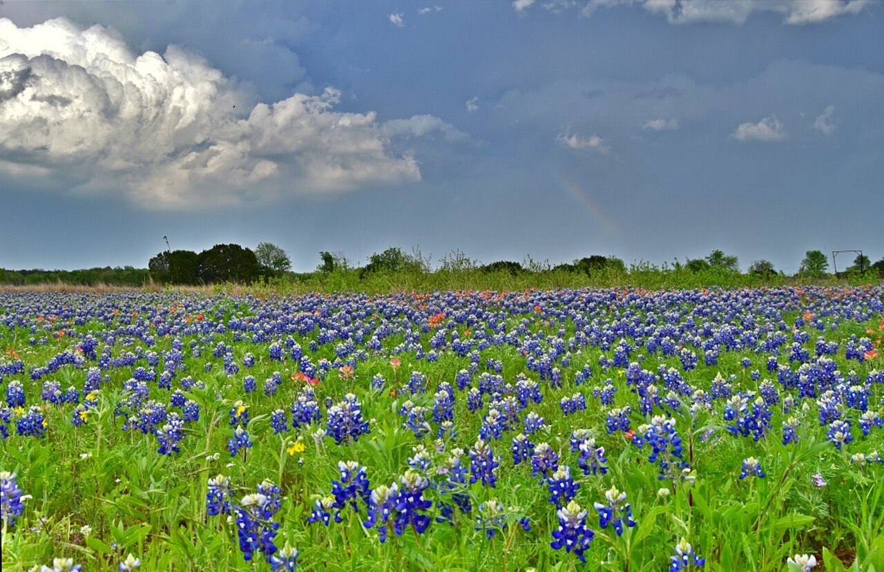 1500 County Road 2850 Kopperl TX 76652
