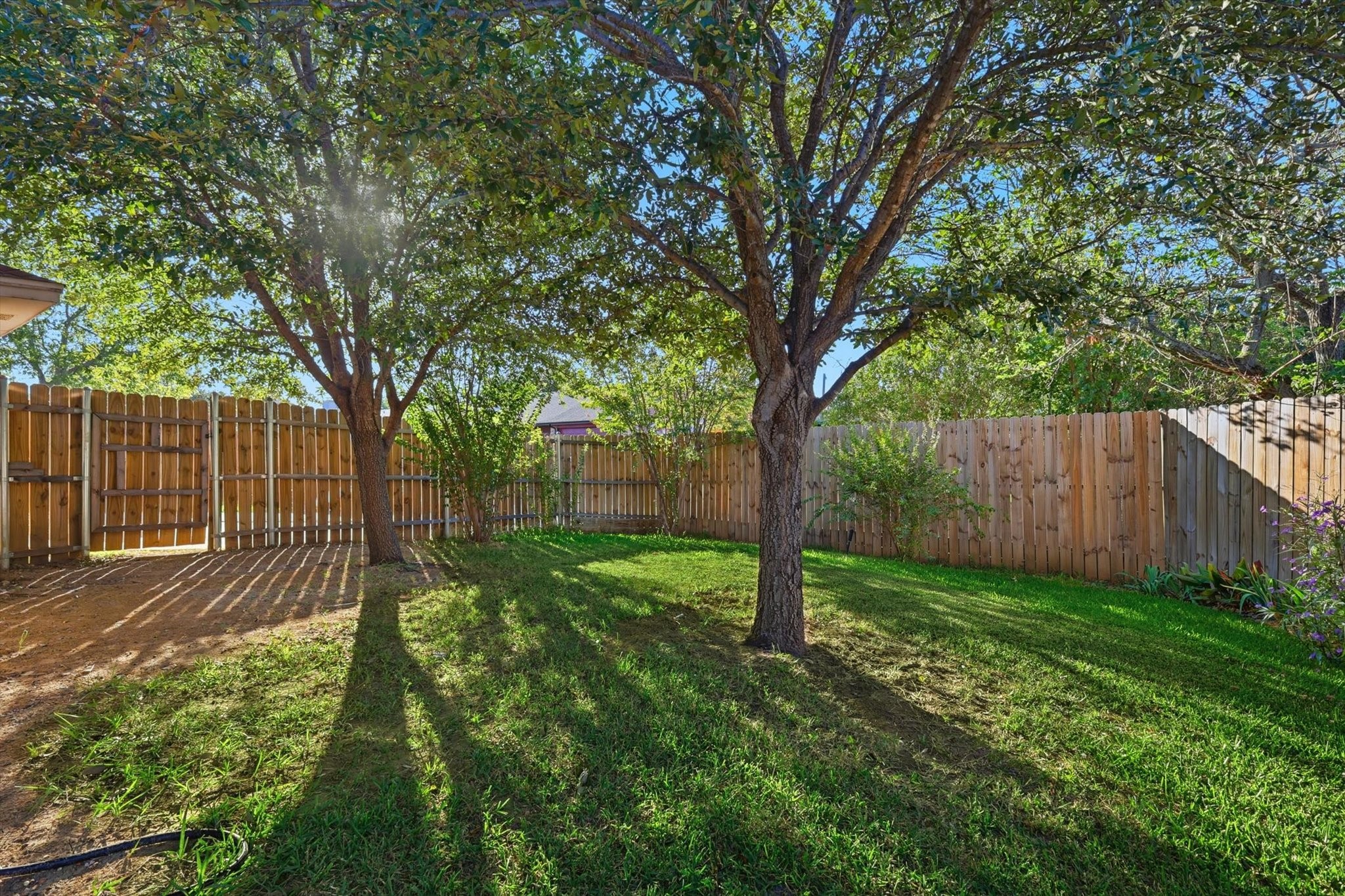 1130 Woodrow Drive Lewisville TX 75067
