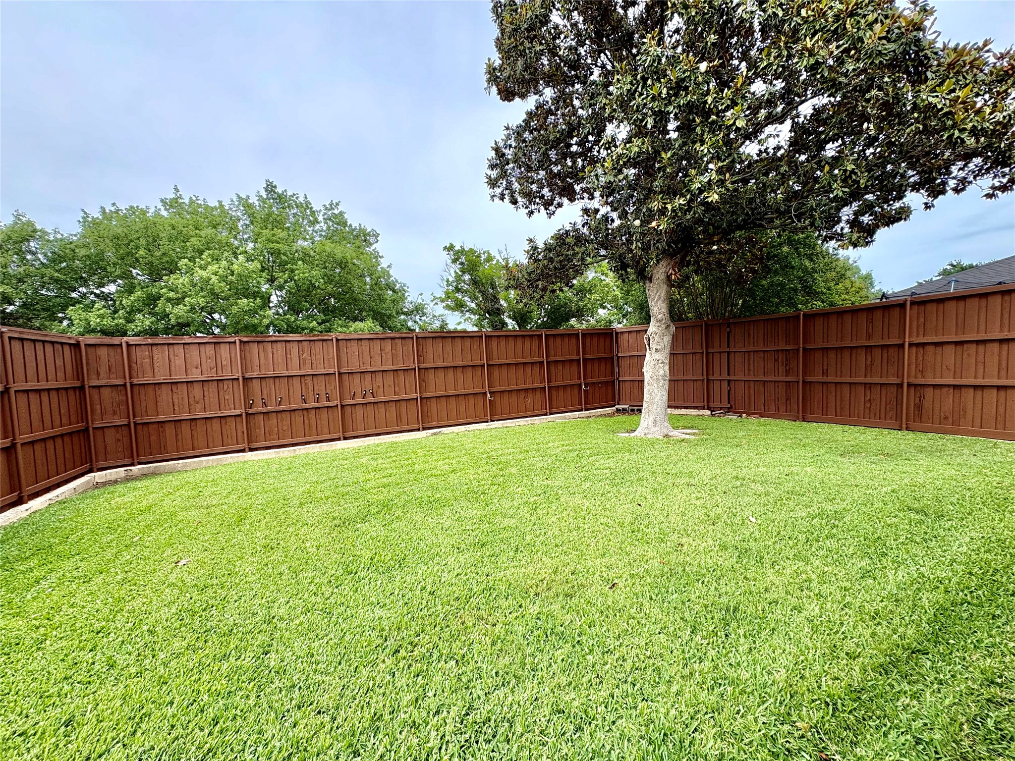 3117 Sandy Trail Lane Plano TX 75023