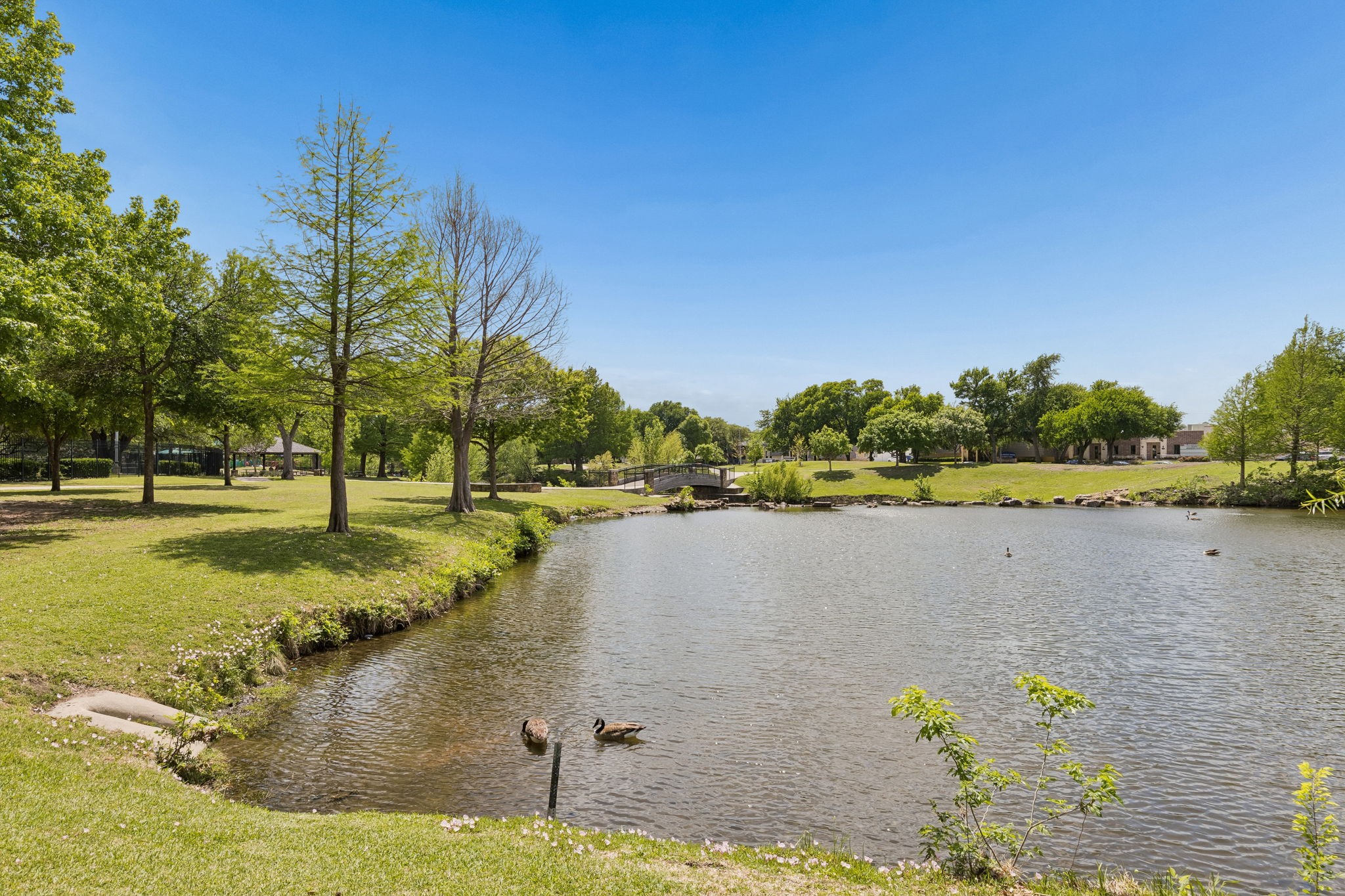 301 N Cottonwood Drive Richardson TX 75080