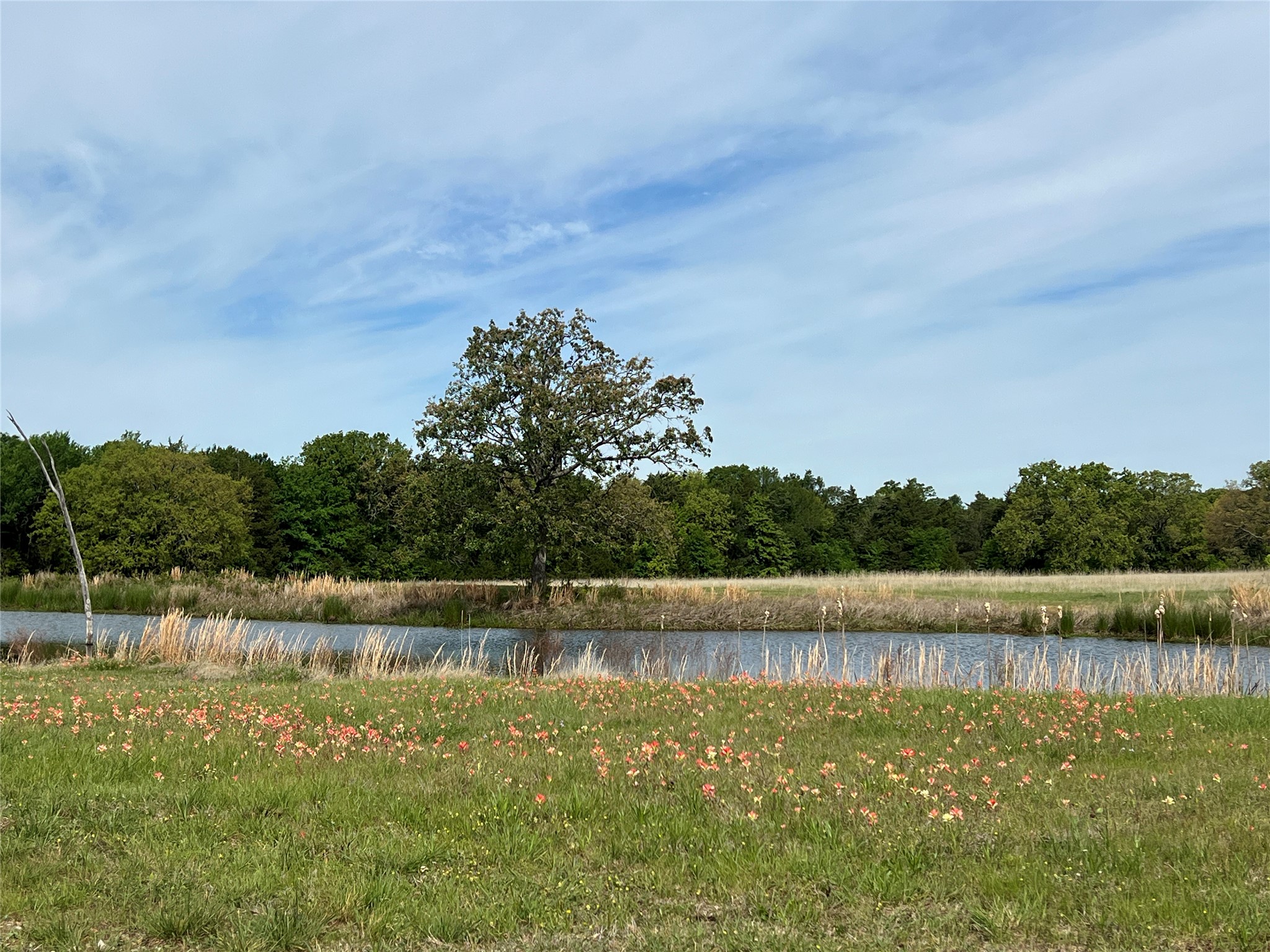 1376 County Road 1123 Cumby TX 75433