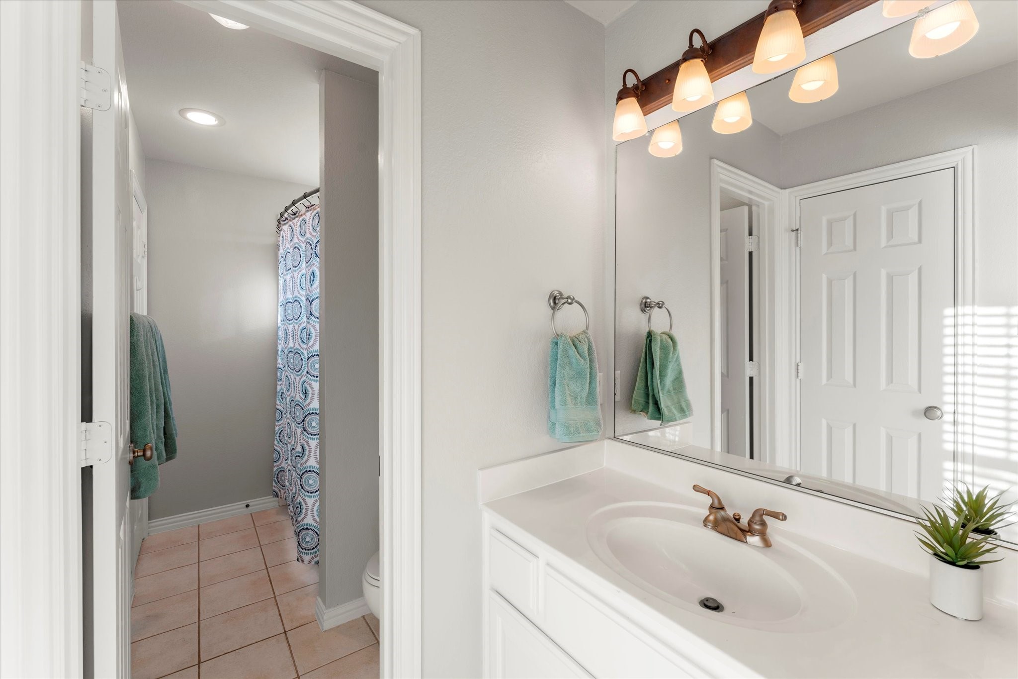 371 Willow Run Prosper TX 75078