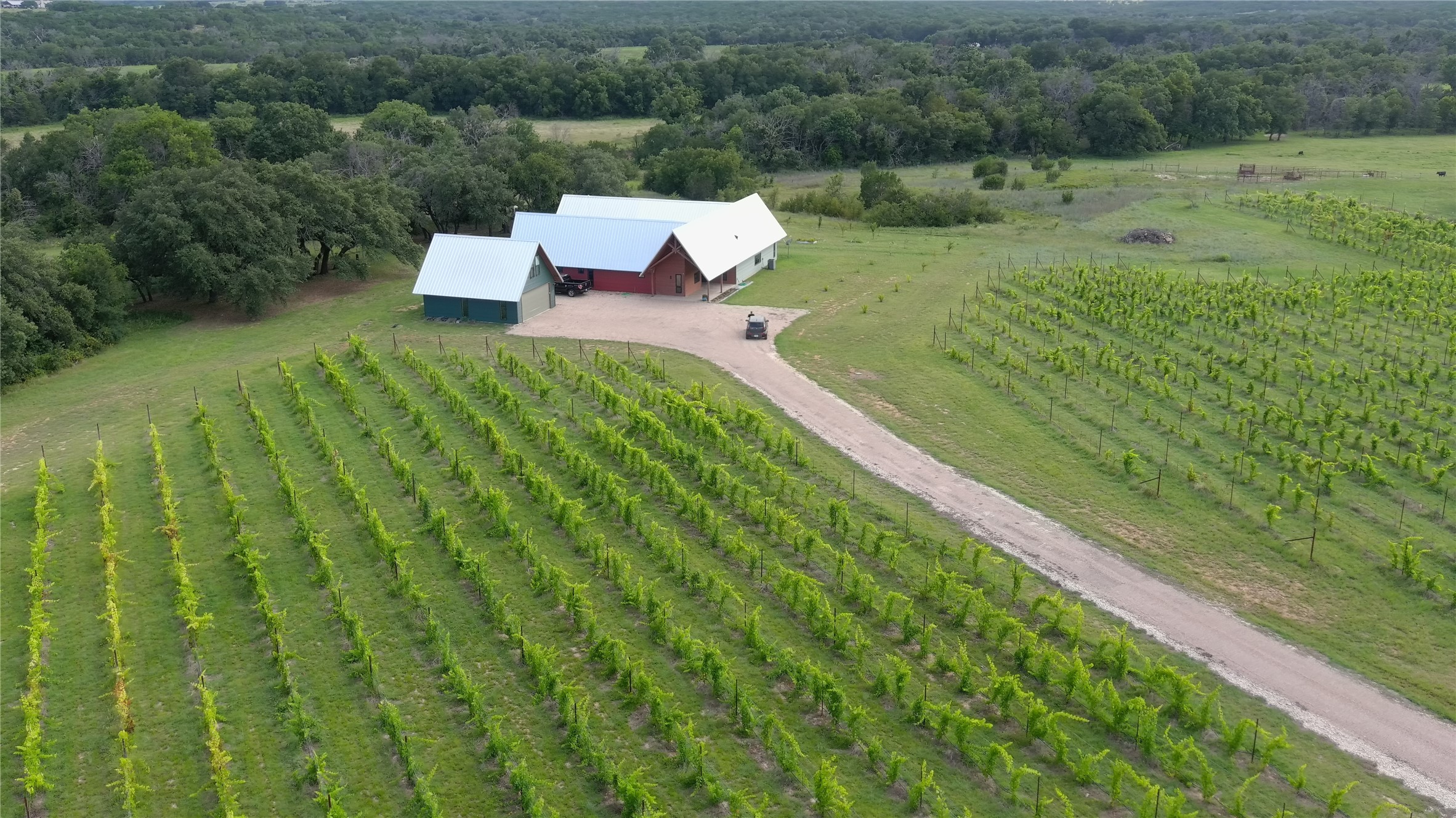 25270 State Highway 6 Hico TX 76457
