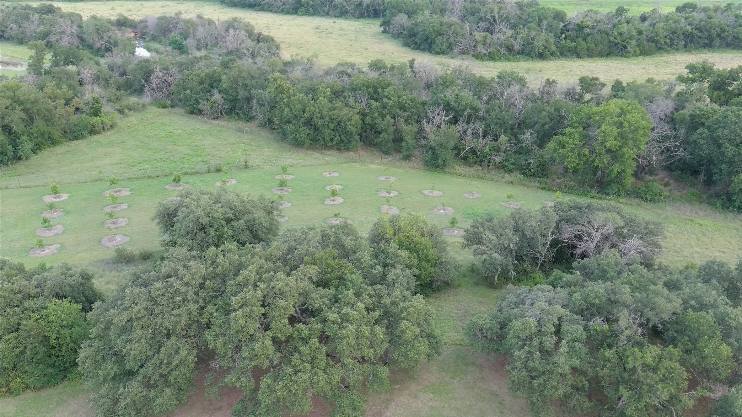 25270 State Highway 6 Hico TX 76457