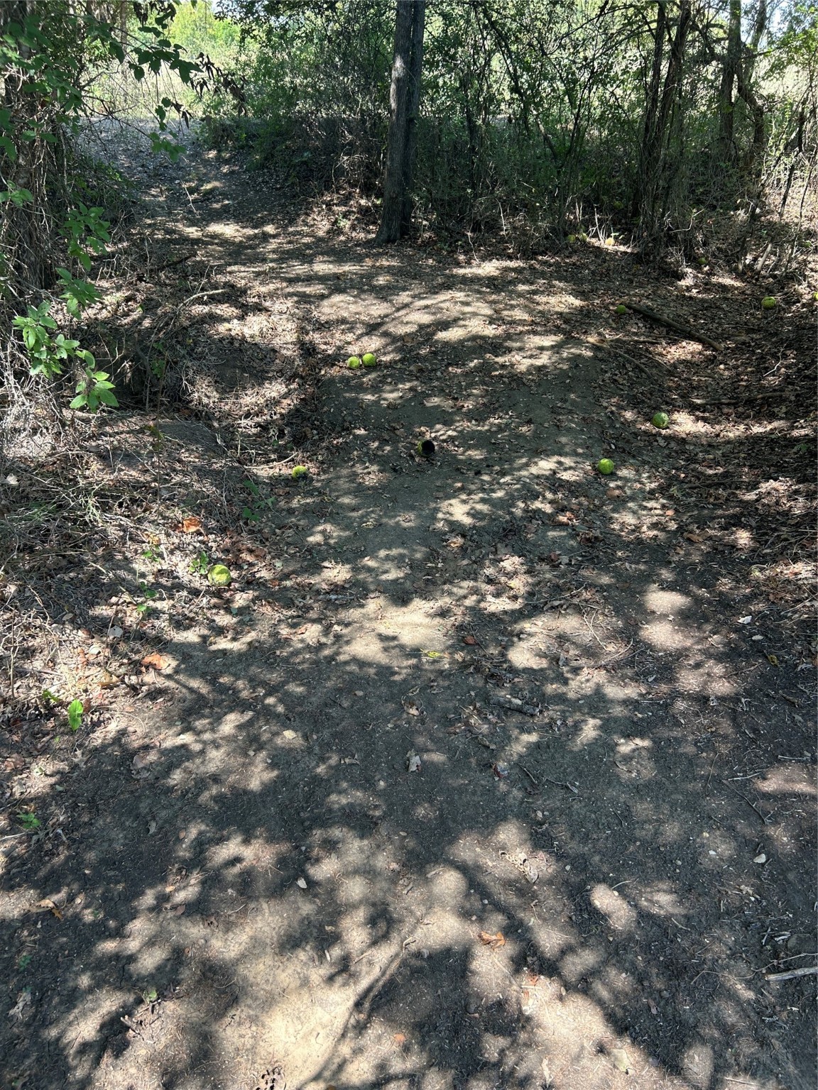 5676 County Road 206 Grandview TX 76050