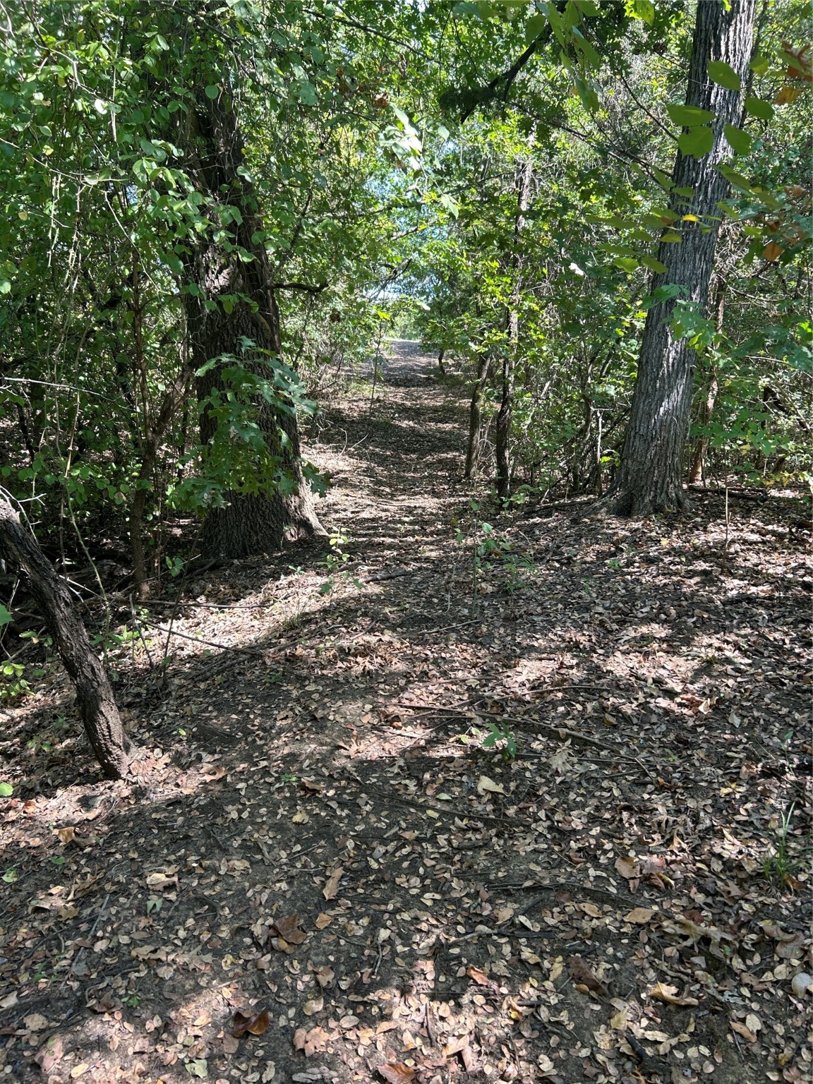 5676 County Road 206 Grandview TX 76050
