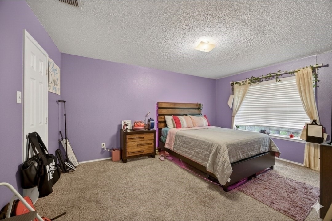 5205 Alazan Bay Drive Rowlett TX 75089