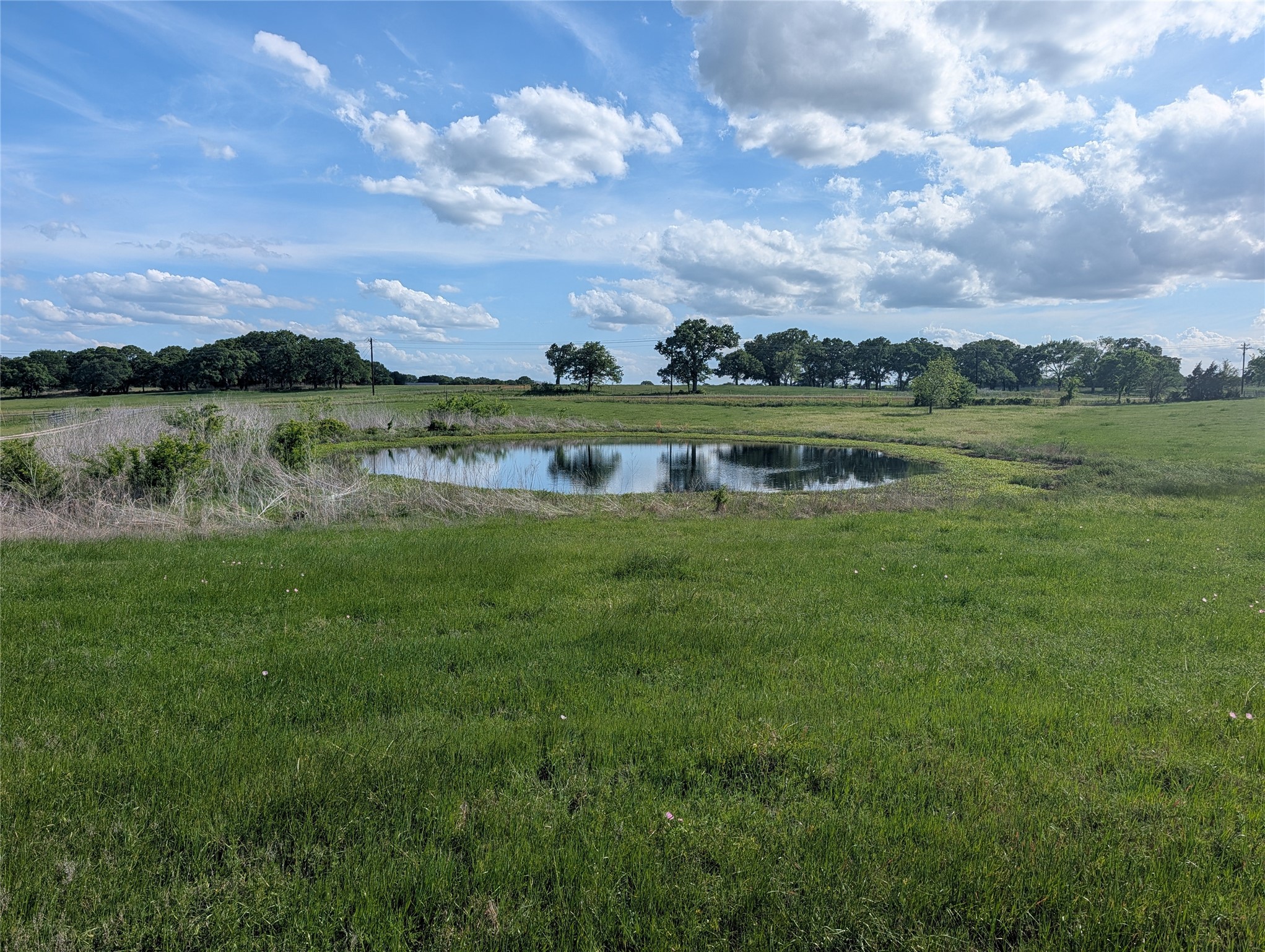 21855 S Fm 148 Kemp TX 75143