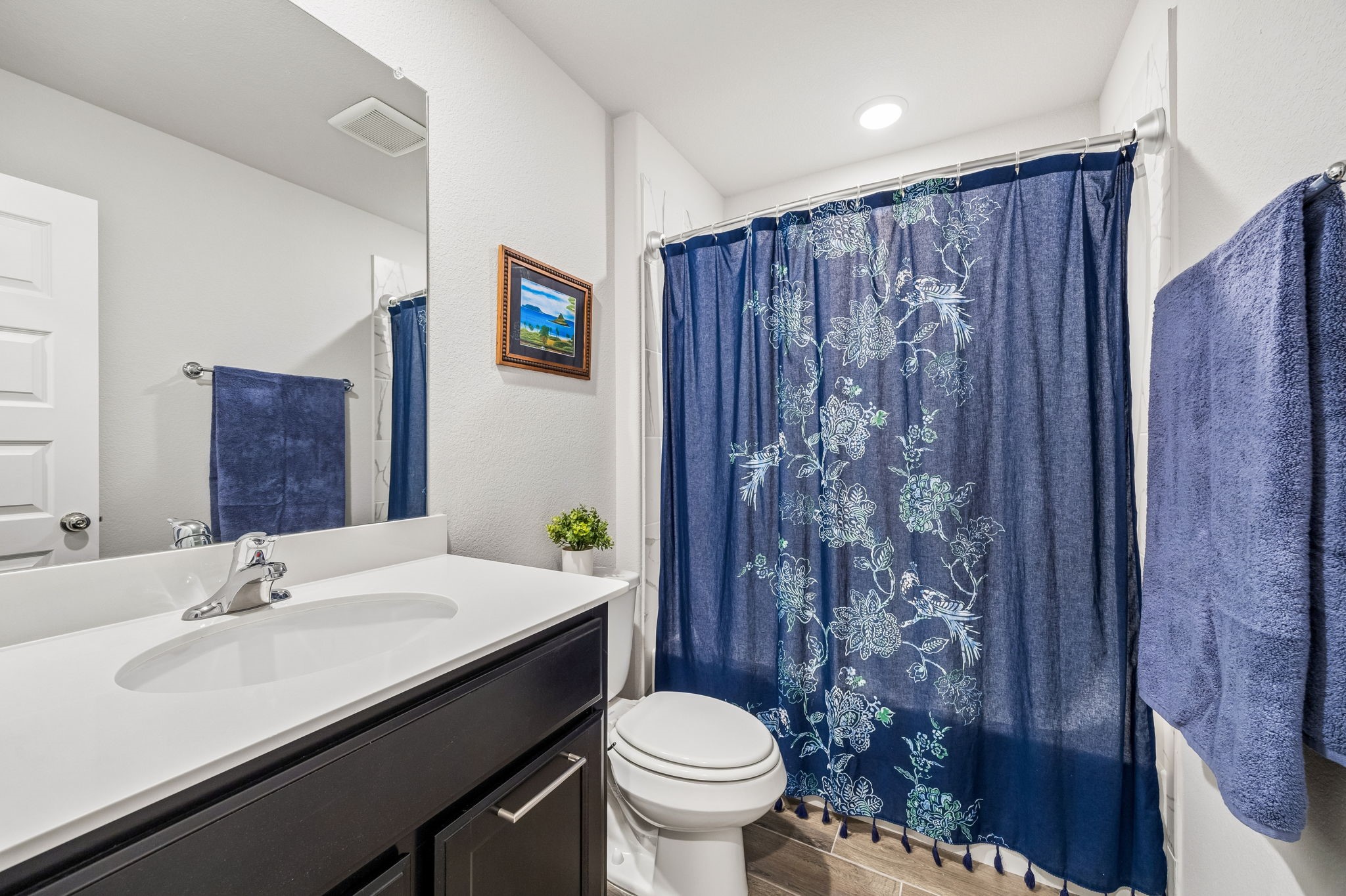 14061 Earlham Street Pilot Point TX 76258
