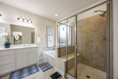 908 Spring Falls Drive Mckinney TX 75071