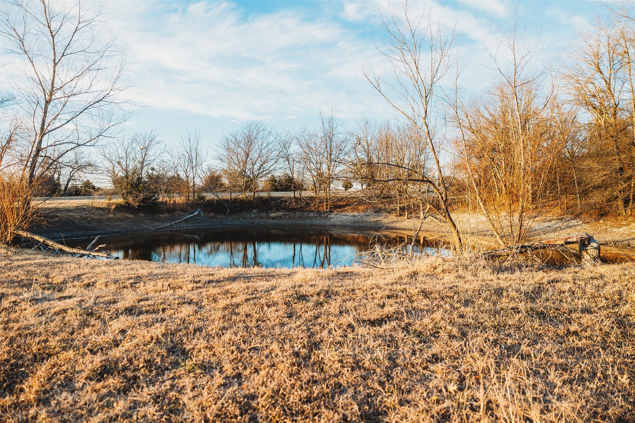 6078 E Line Road Whitewright TX 75491