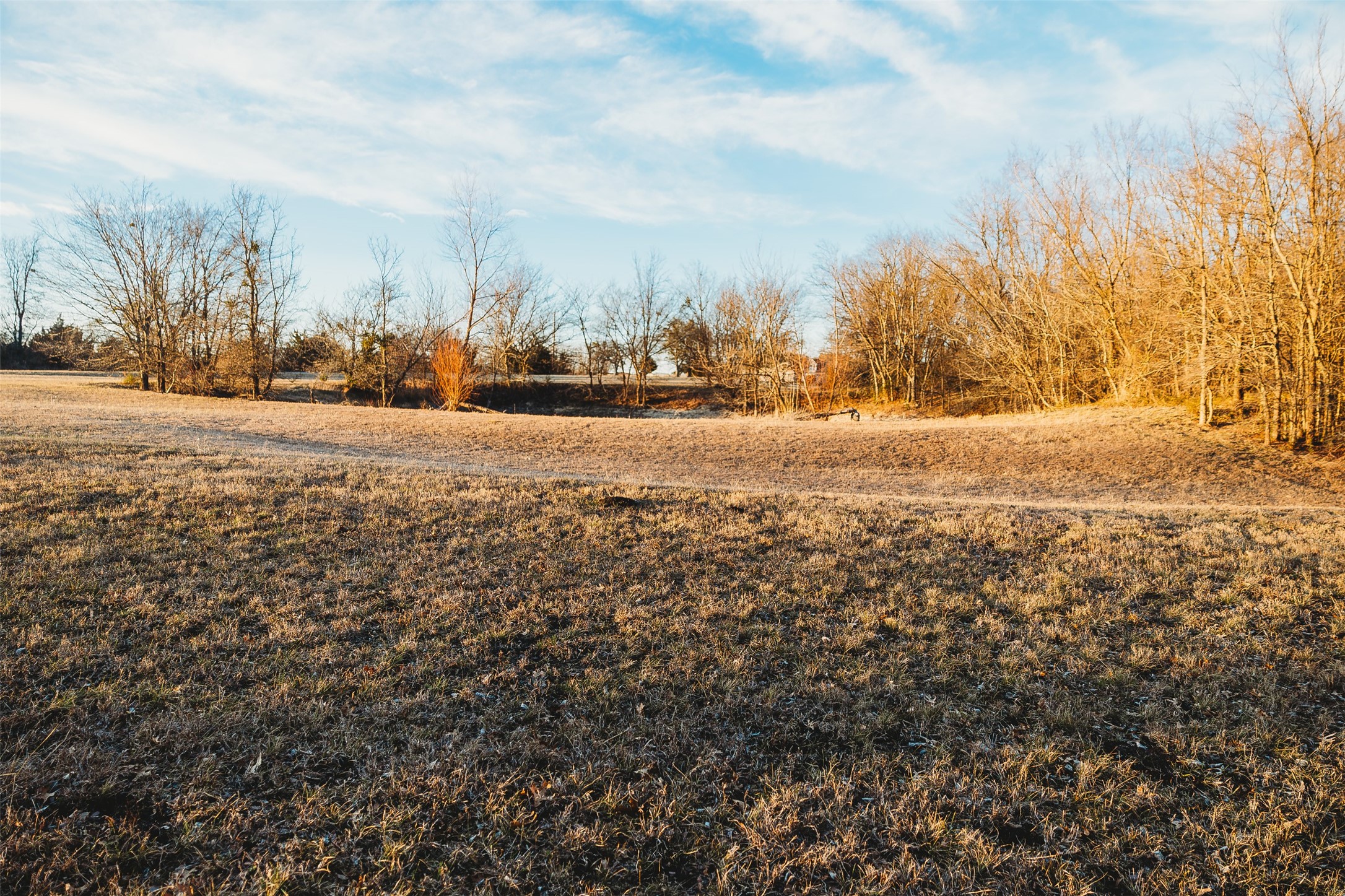 6078 E Line Road Whitewright TX 75491
