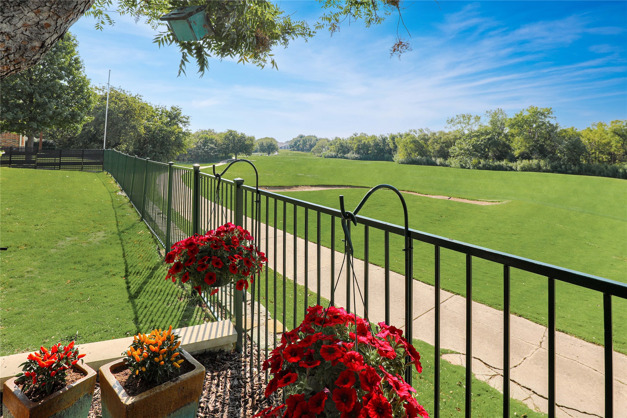 2655 Sleepy Hollow Trail Frisco TX 75033