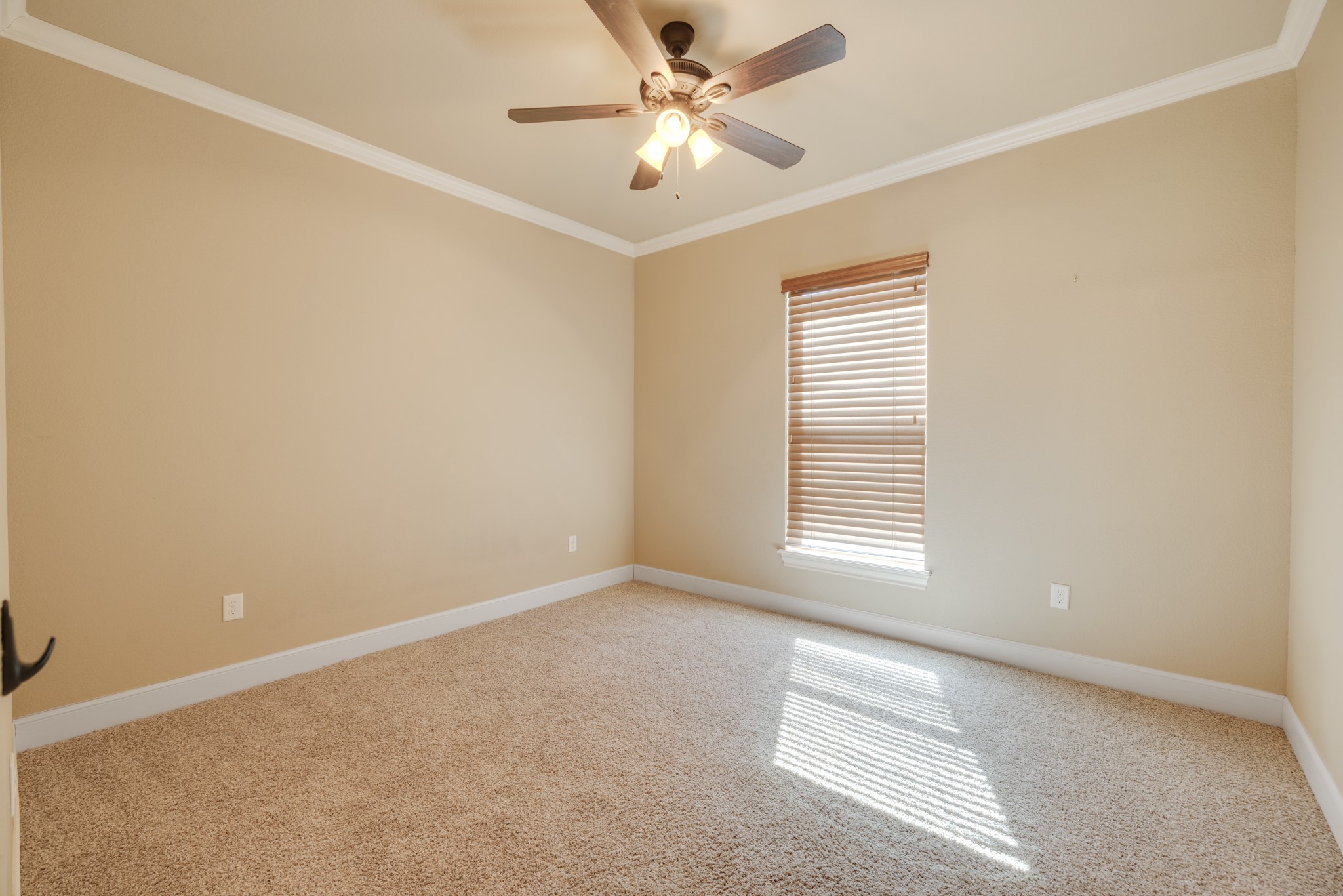 181 Cougar Run Tuscola TX 79562