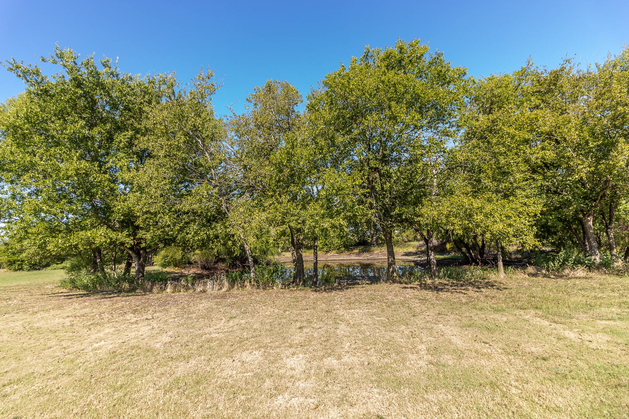 1194 Cedar Lane Kaufman TX 75142