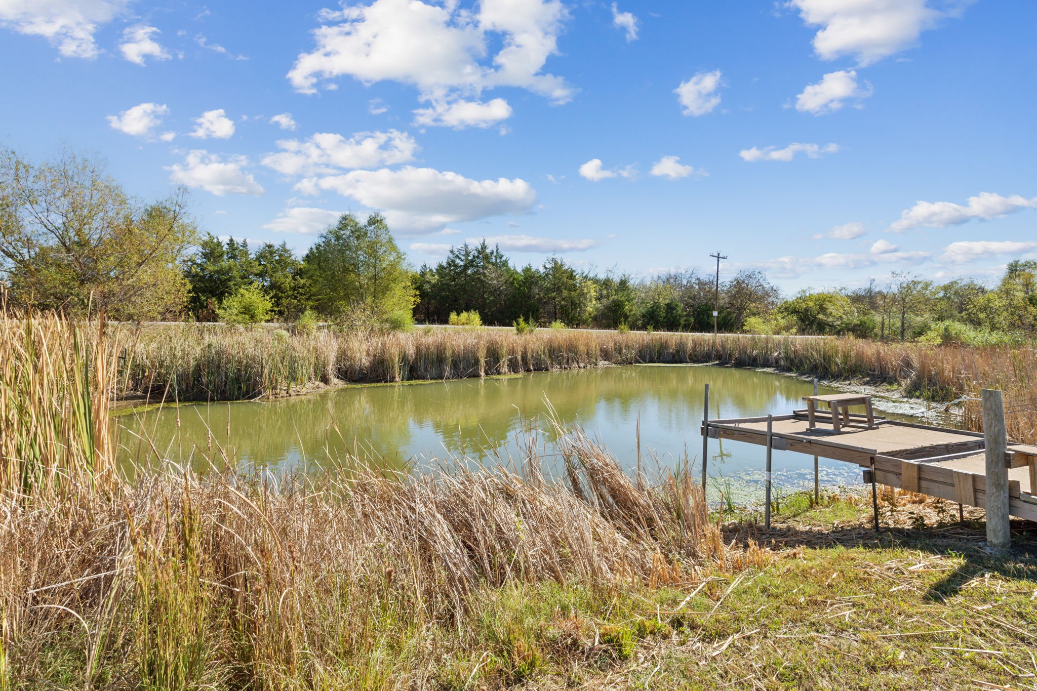 5646 County Road 2909 Dodd City TX 75438