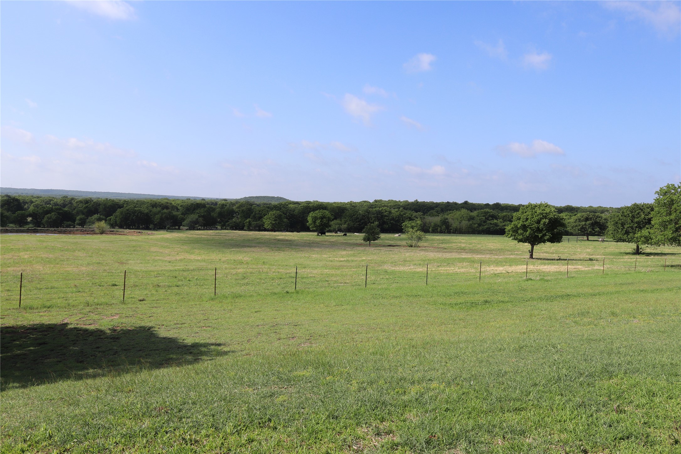 957 Frog Hollar Bowie TX 76230