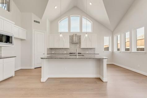 1628 Rimini Road Fate TX 75087