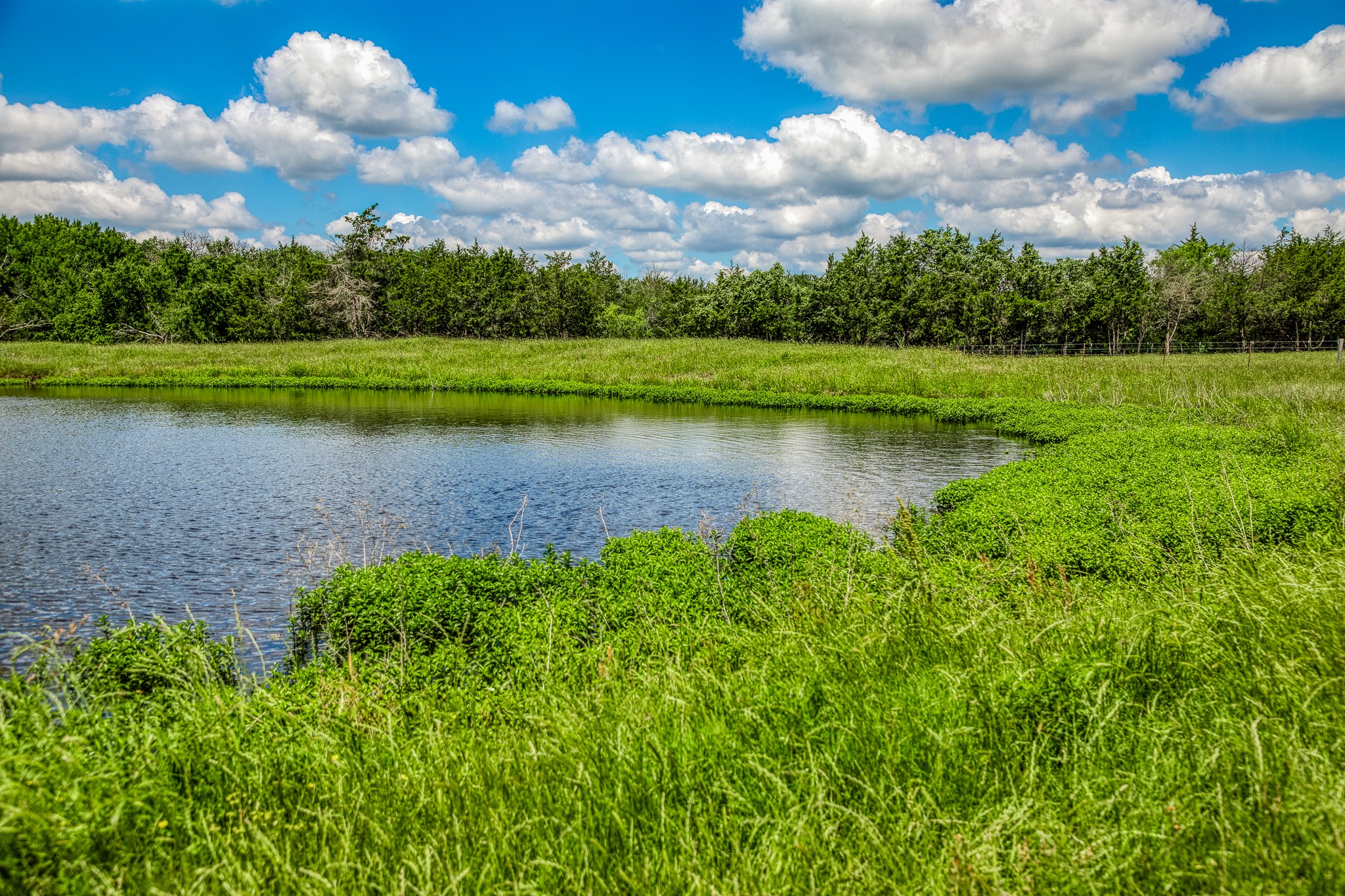 1850 Lcr 439 Mexia TX 76667