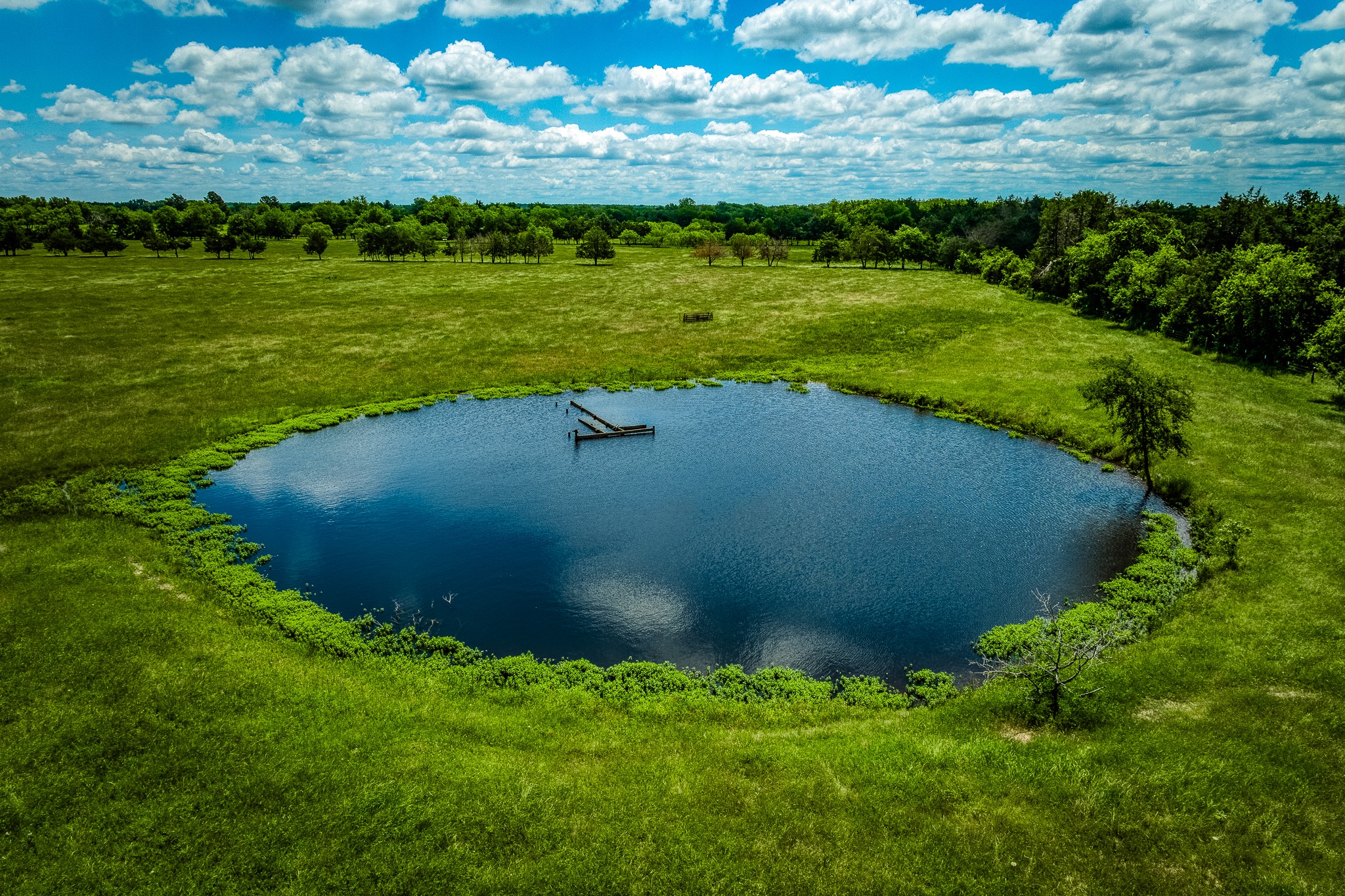 1850 Lcr 439 Mexia TX 76667