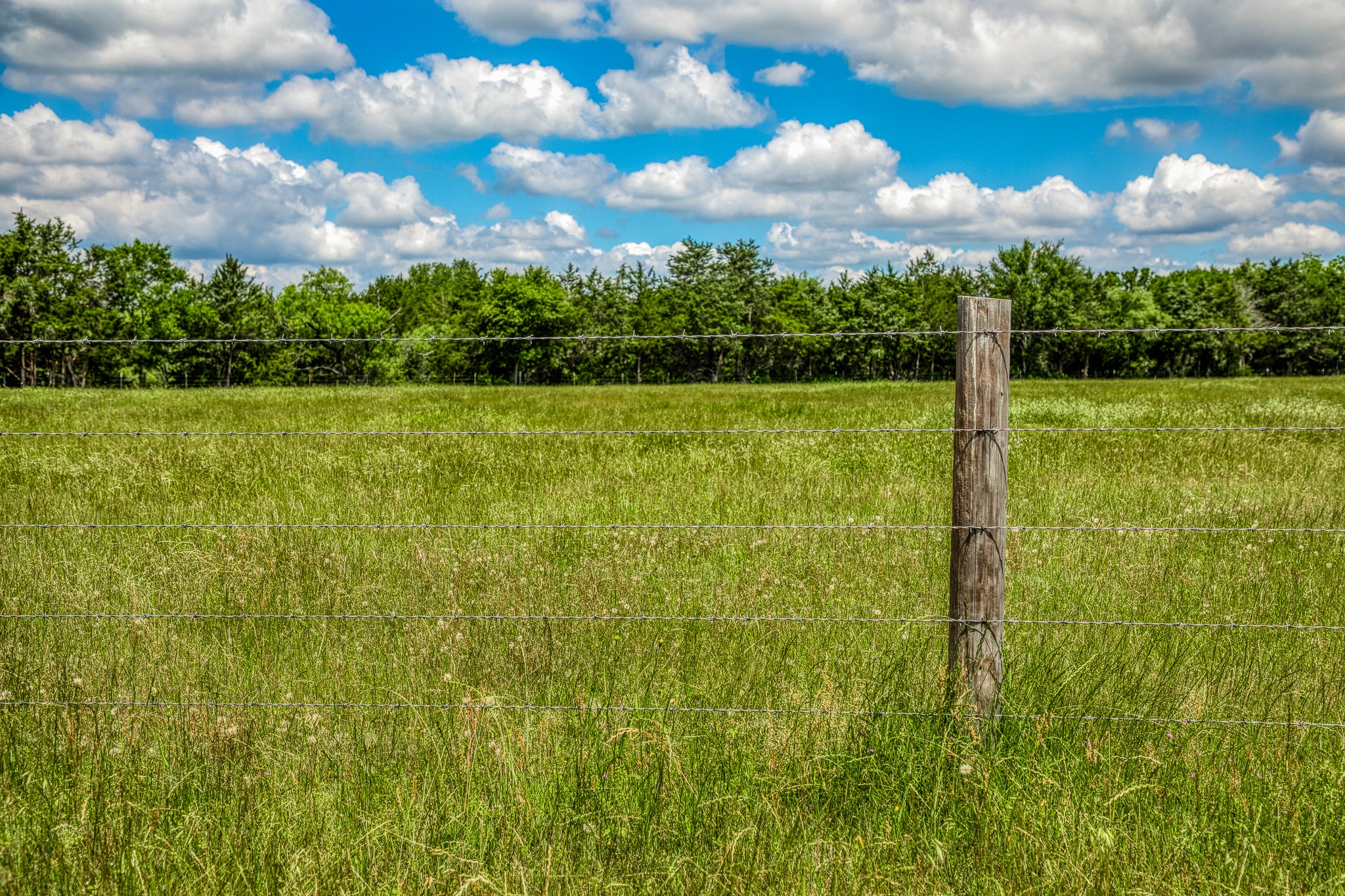 1850 Lcr 439 Mexia TX 76667