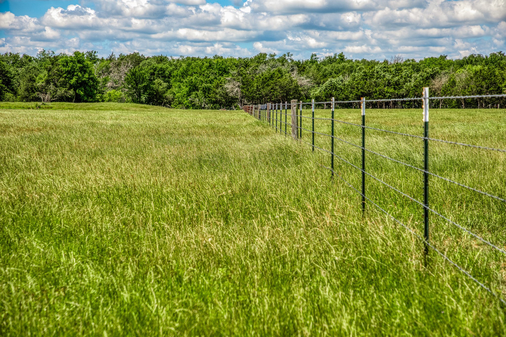 1850 Lcr 439 Mexia TX 76667