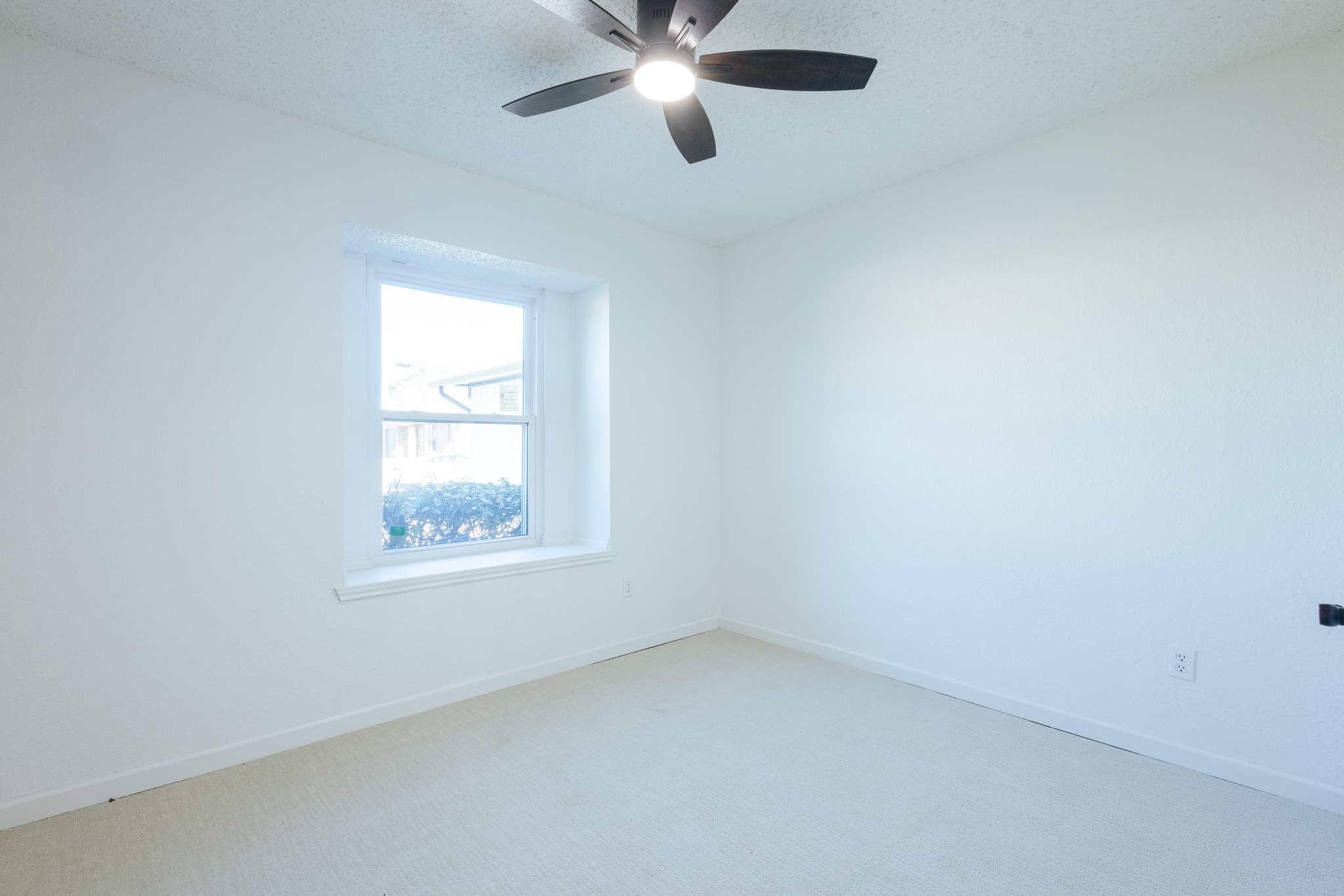 3921 Teaberry Lane Fort Worth TX 76133