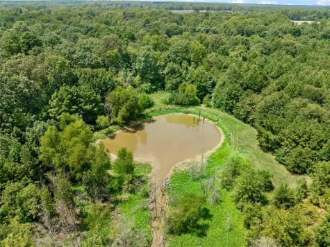 12025 Fm 195 Bagwell TX 75412