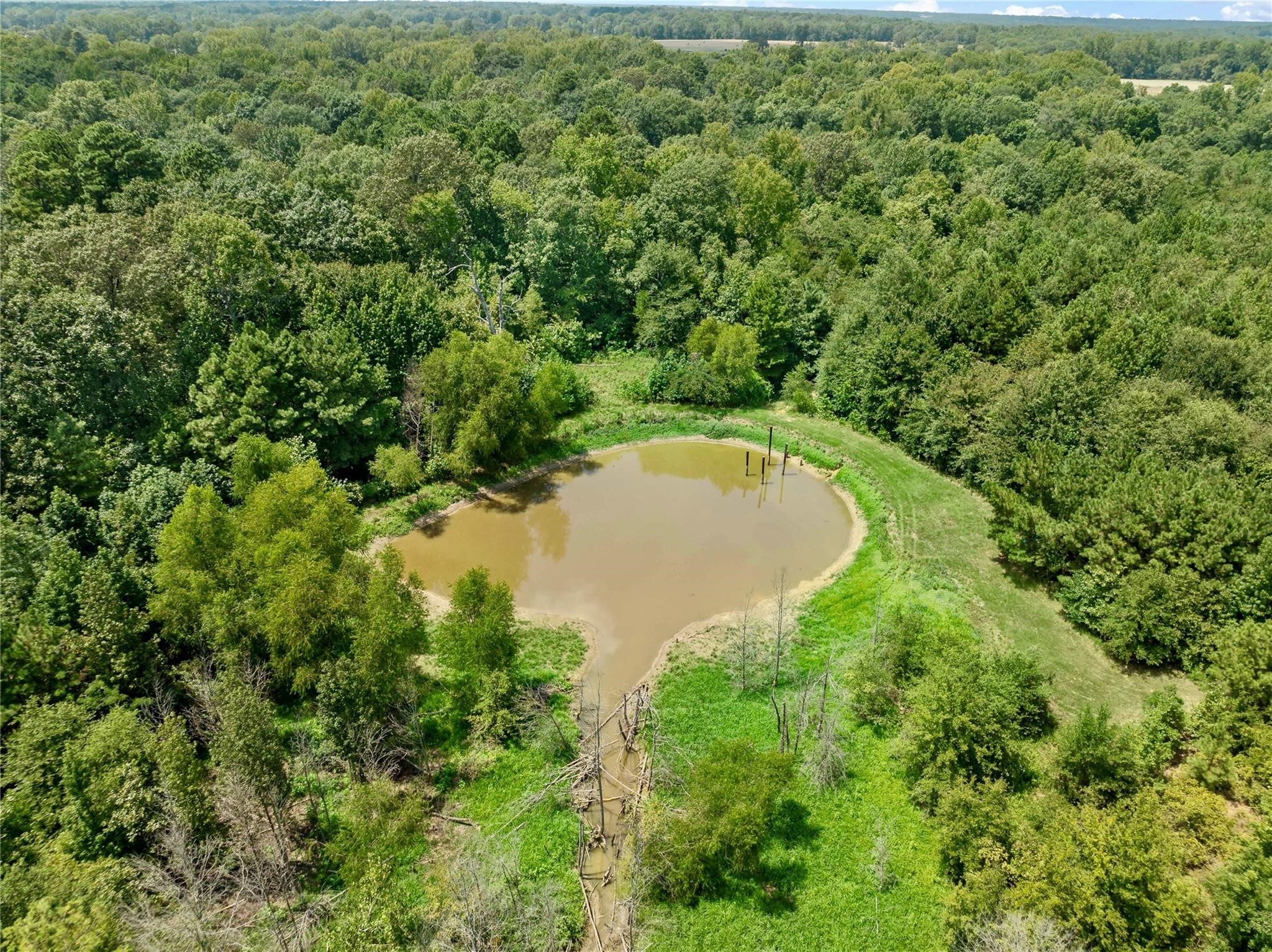 12025 Fm 195 Bagwell TX 75412