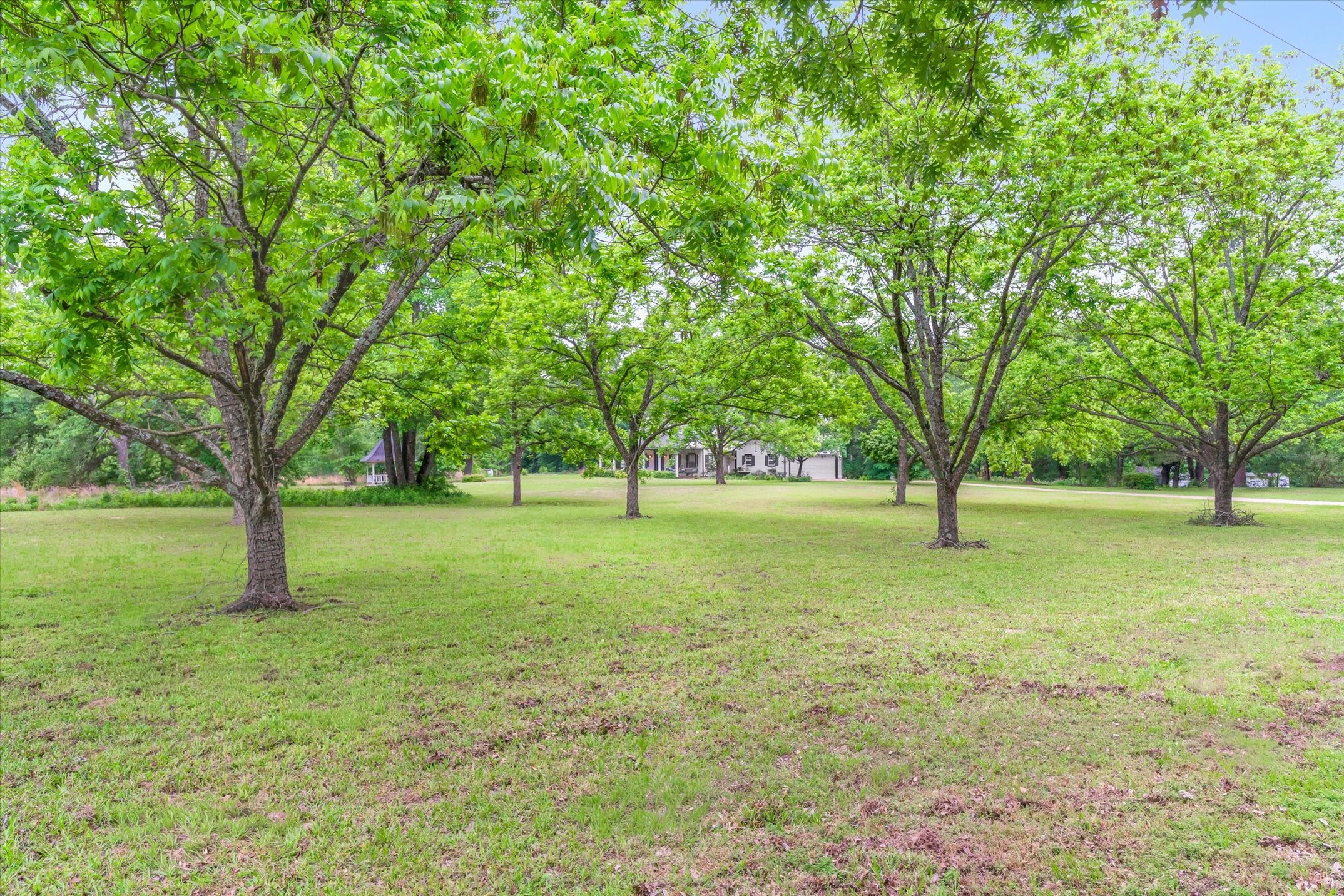 1434 Vz County Road 4519 Van TX 75790