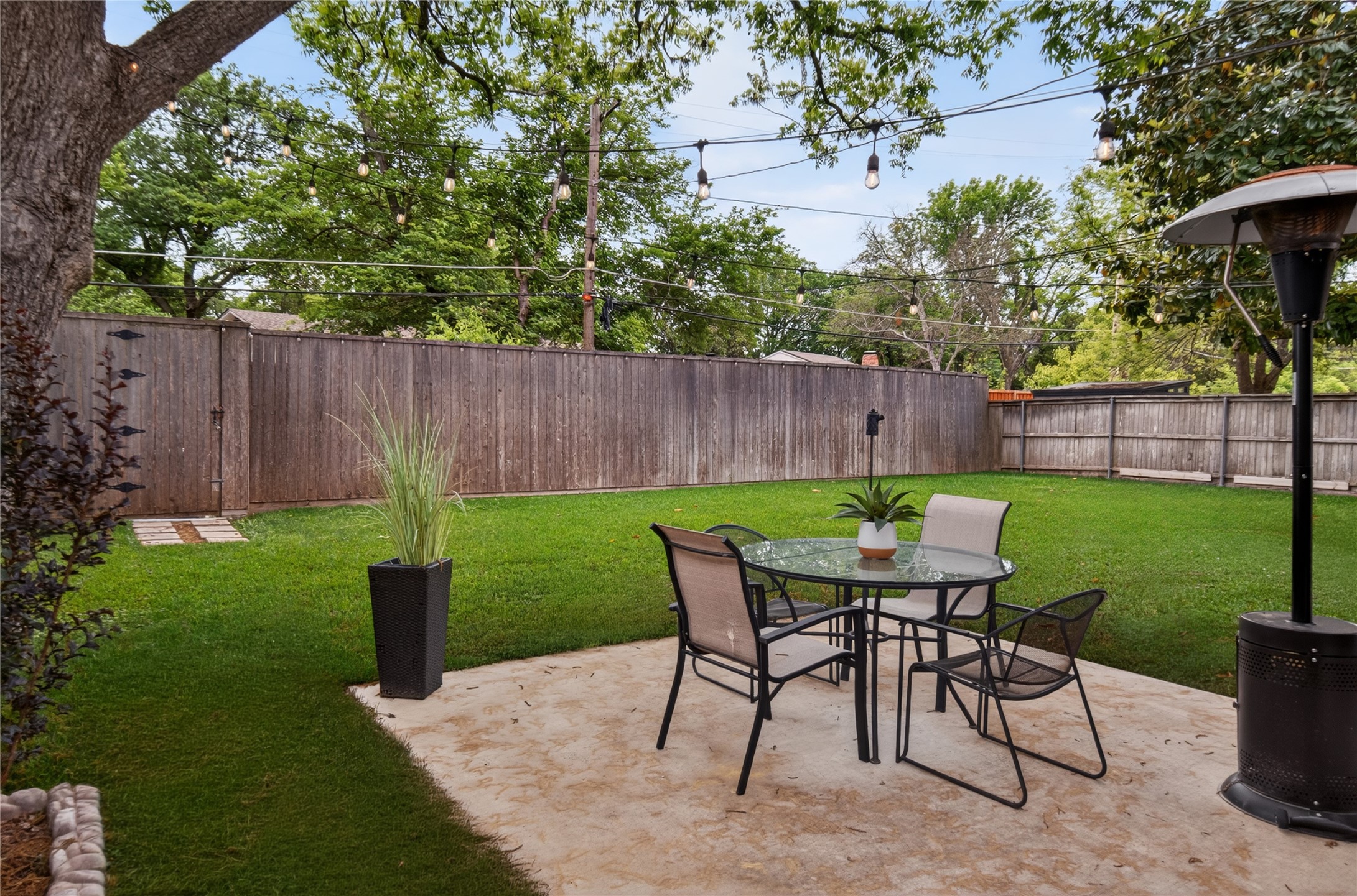 6842 Arboreal Drive Dallas TX 75231