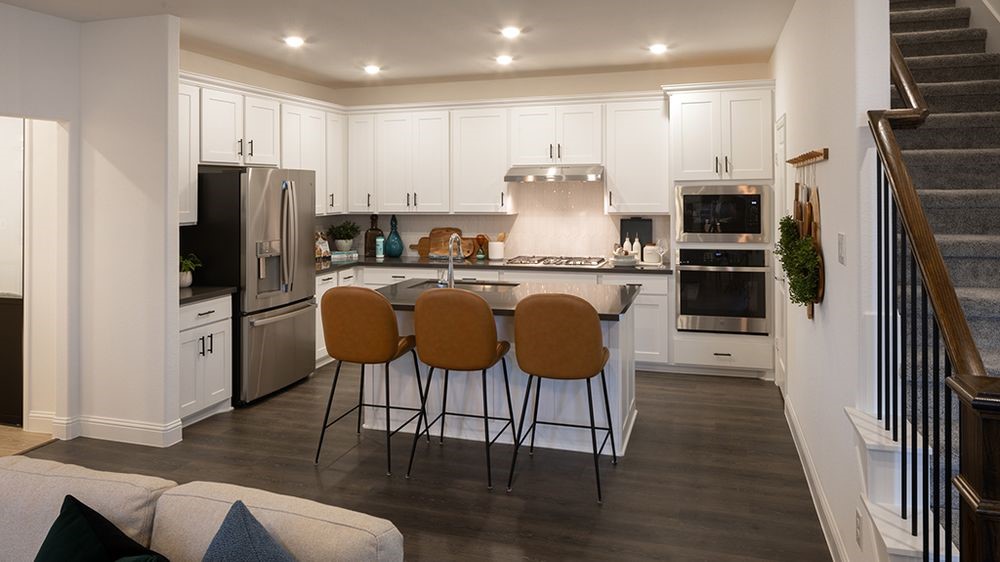 1133 Beebalm Mews Celina TX 75009