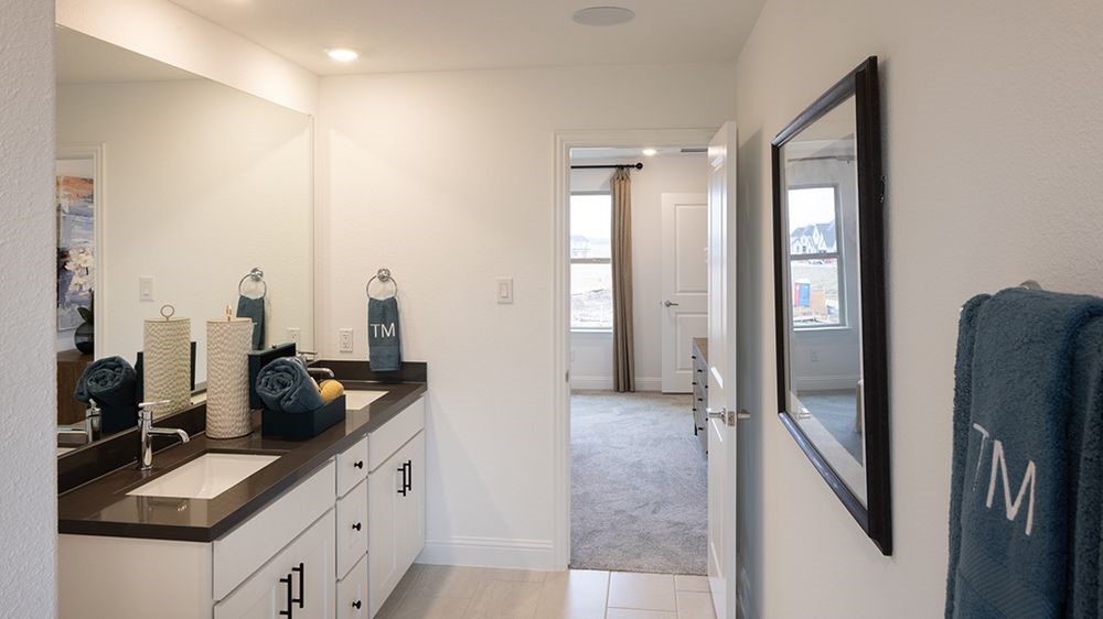 1133 Beebalm Mews Celina TX 75009