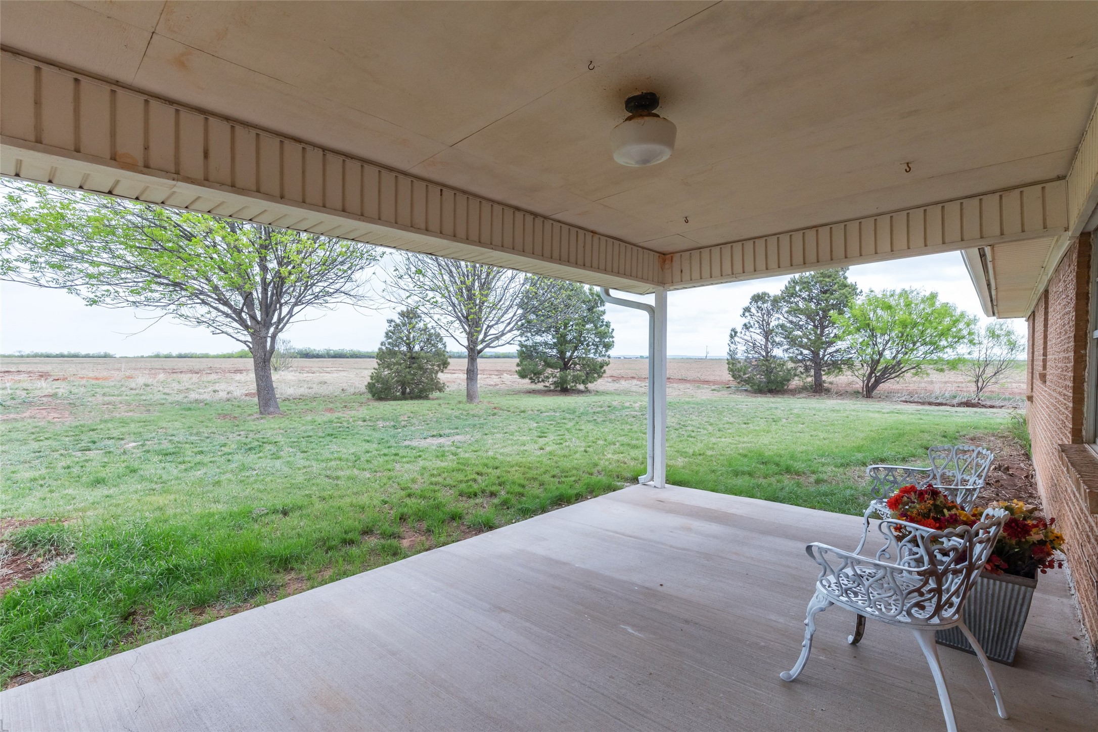 226 County Road 152 Tuscola TX 79562