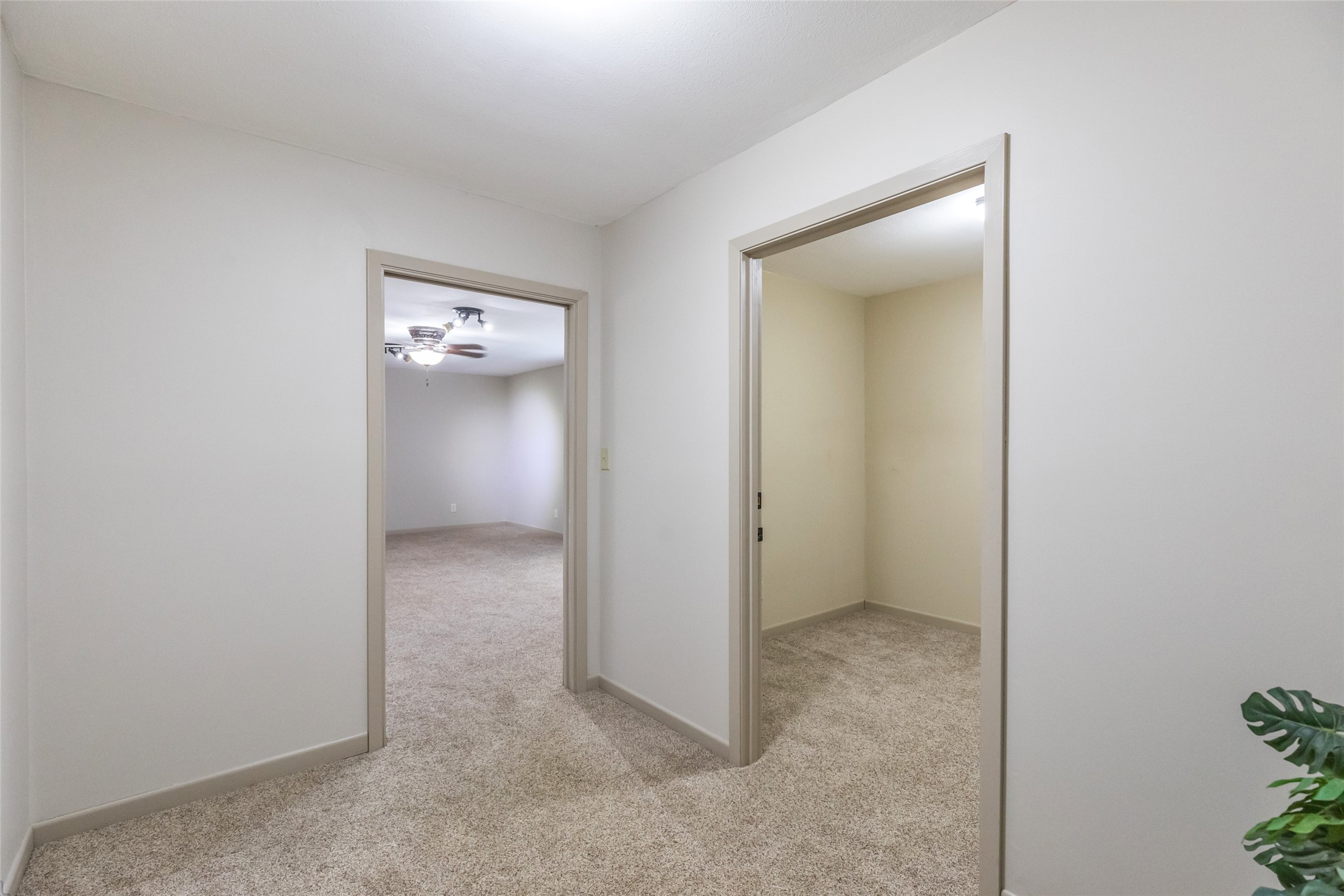 226 County Road 152 Tuscola TX 79562