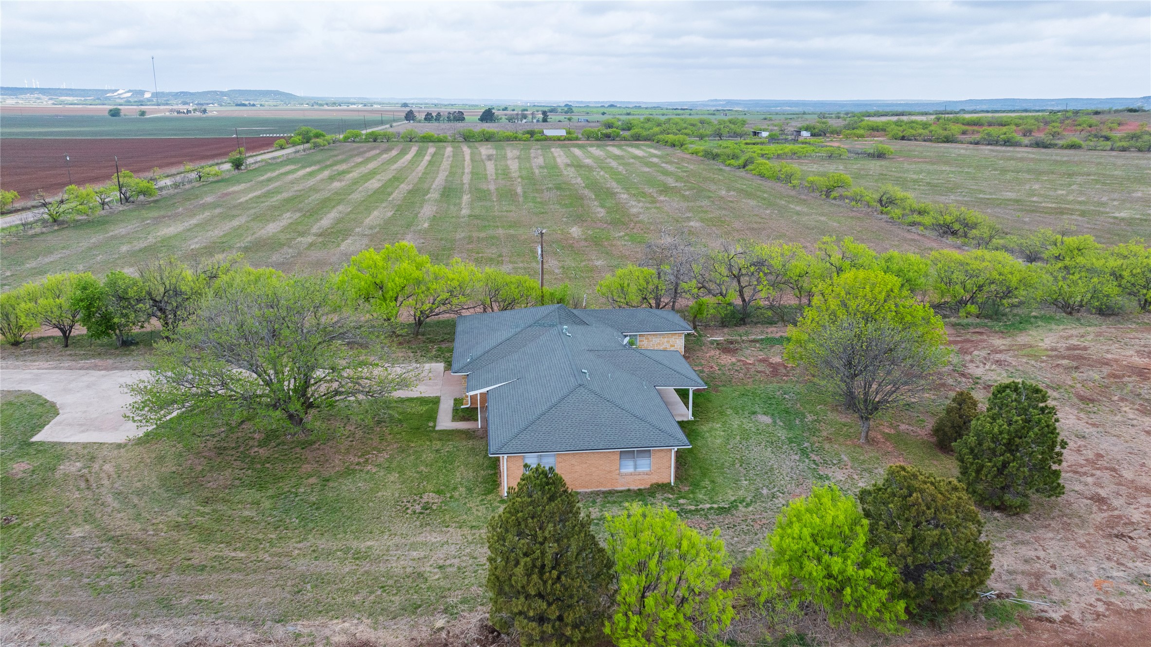 226 County Road 152 Tuscola TX 79562