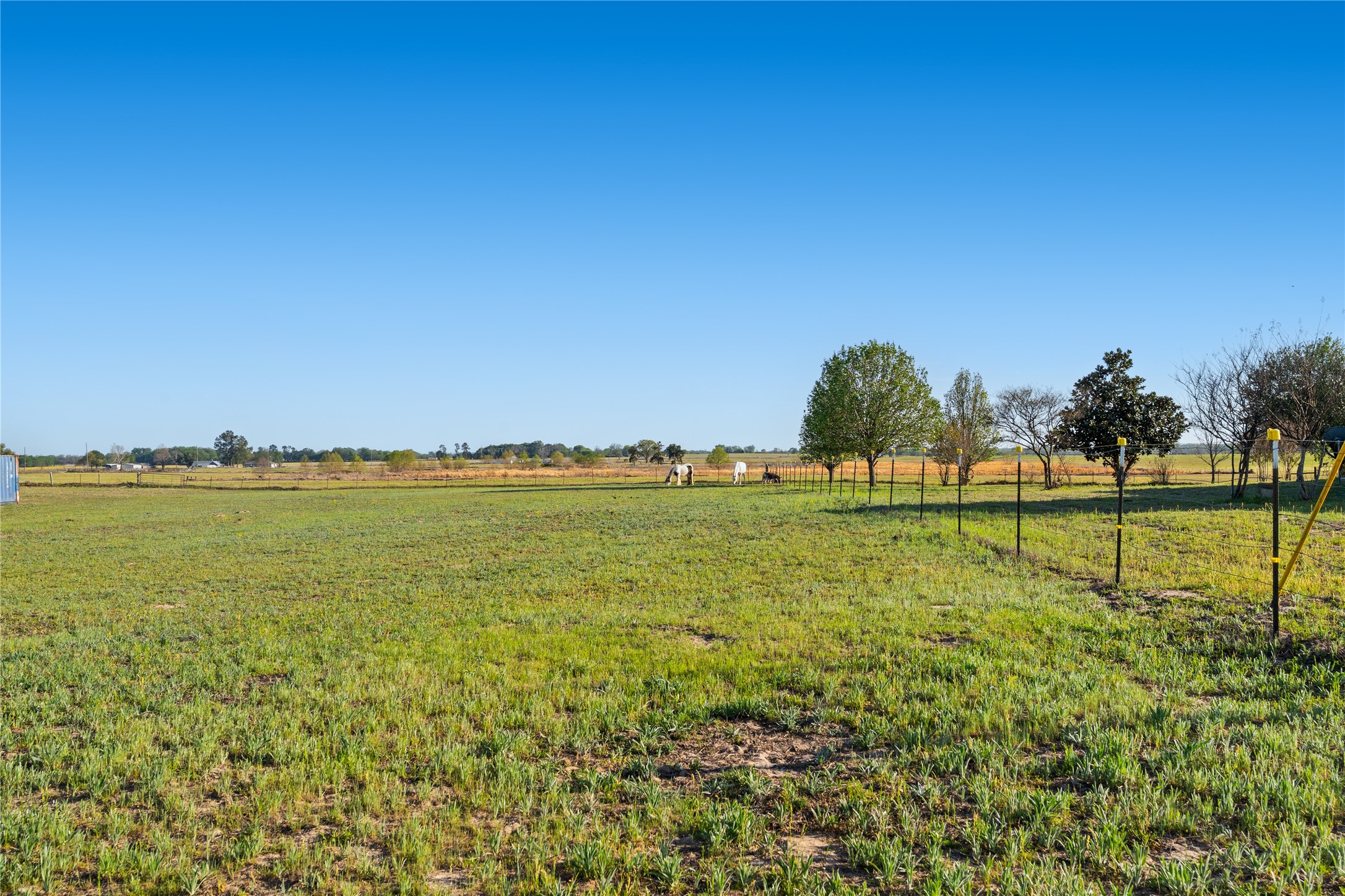 4106 Farm Road 2560 Sulphur Springs TX 75482