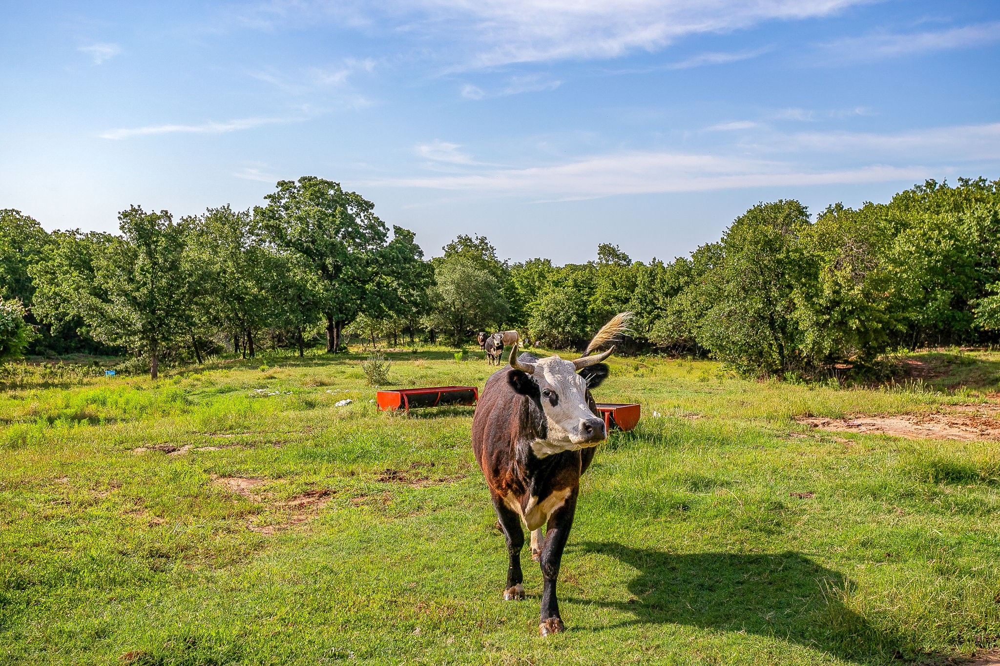 227 Rock Springs Road Weatherford TX 76088