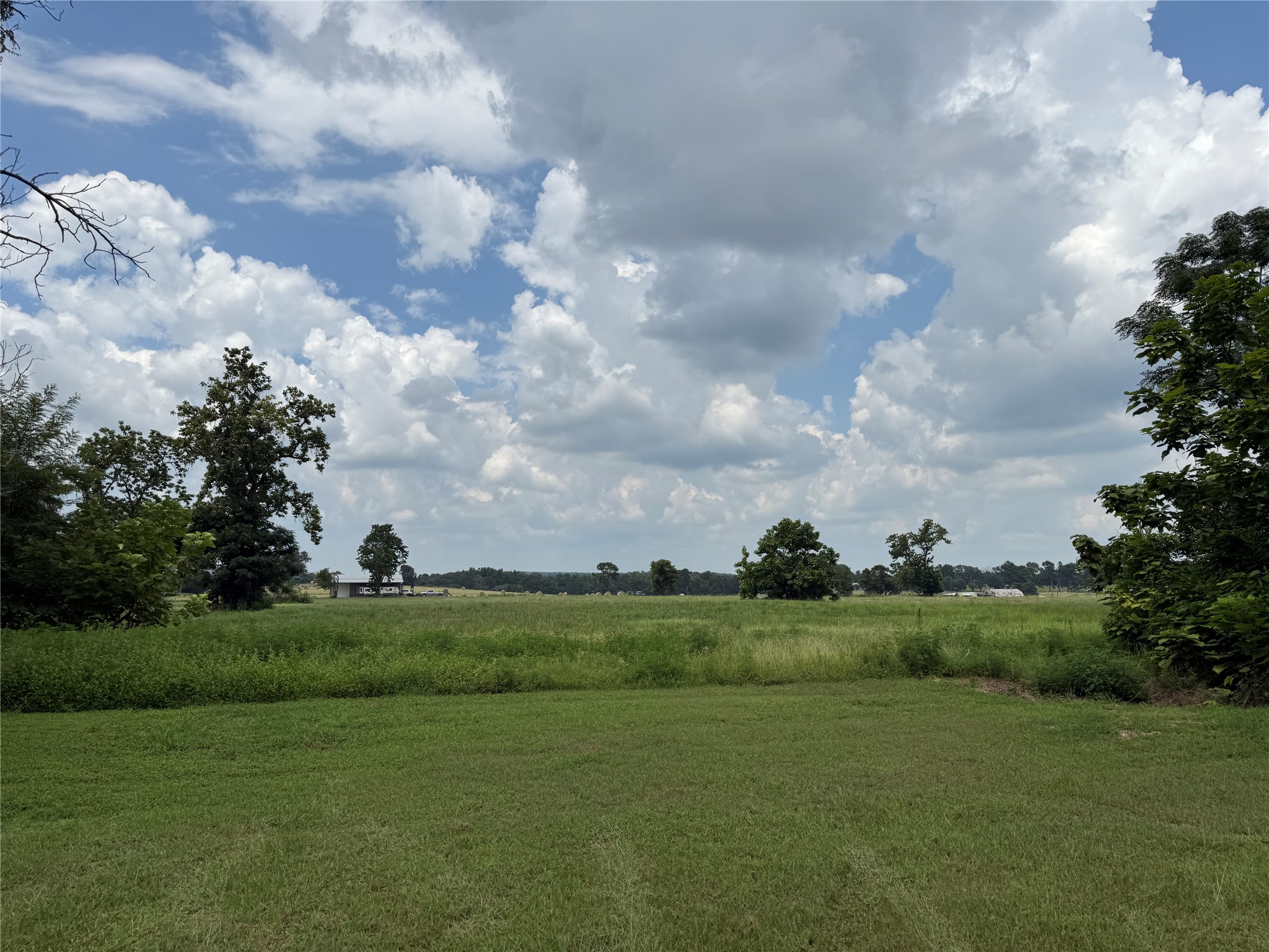 1014 Greenwood Street Winnsboro TX 75494