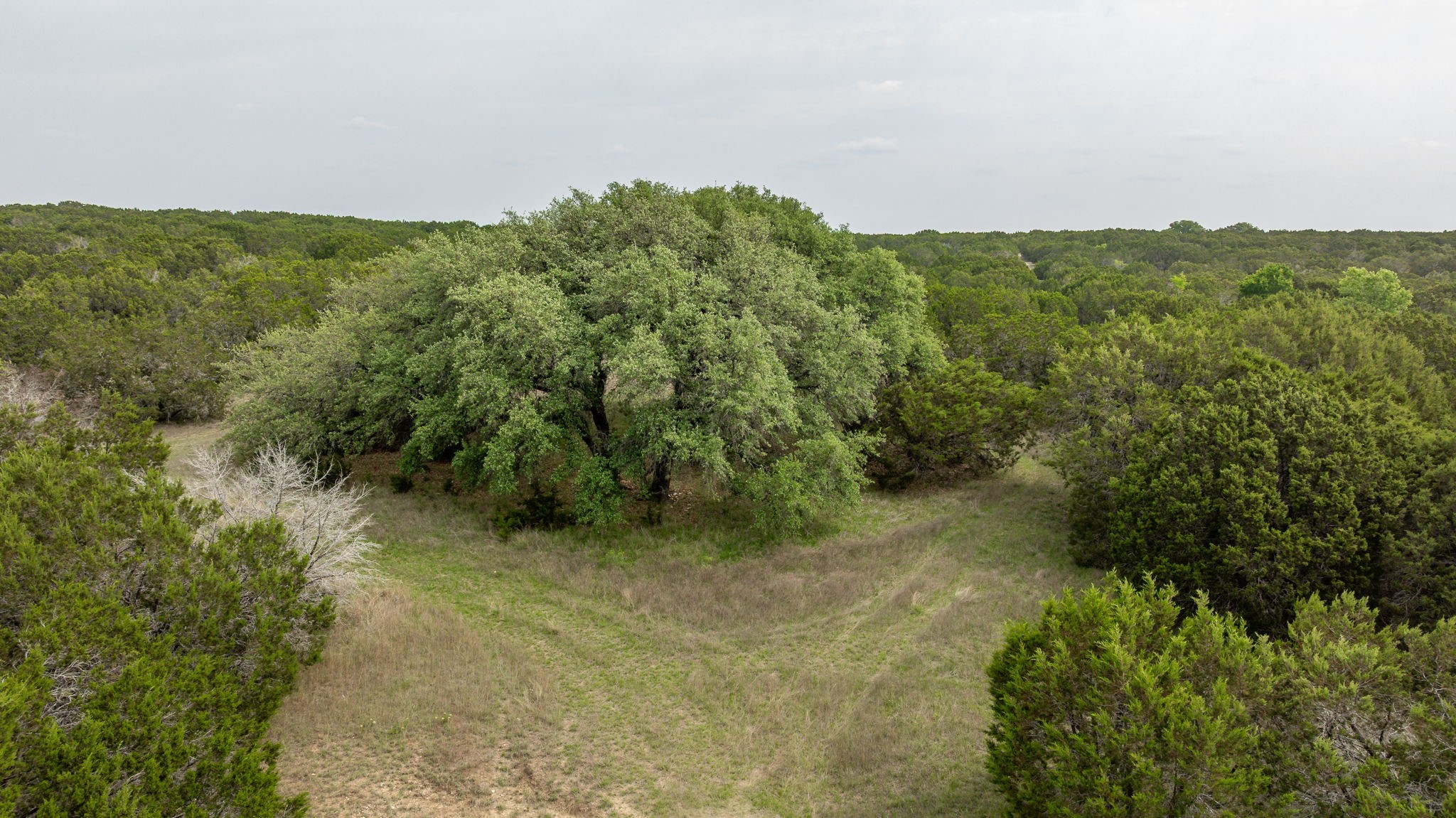 5905 N Us Highway 281 (400) Hamilton TX 76531