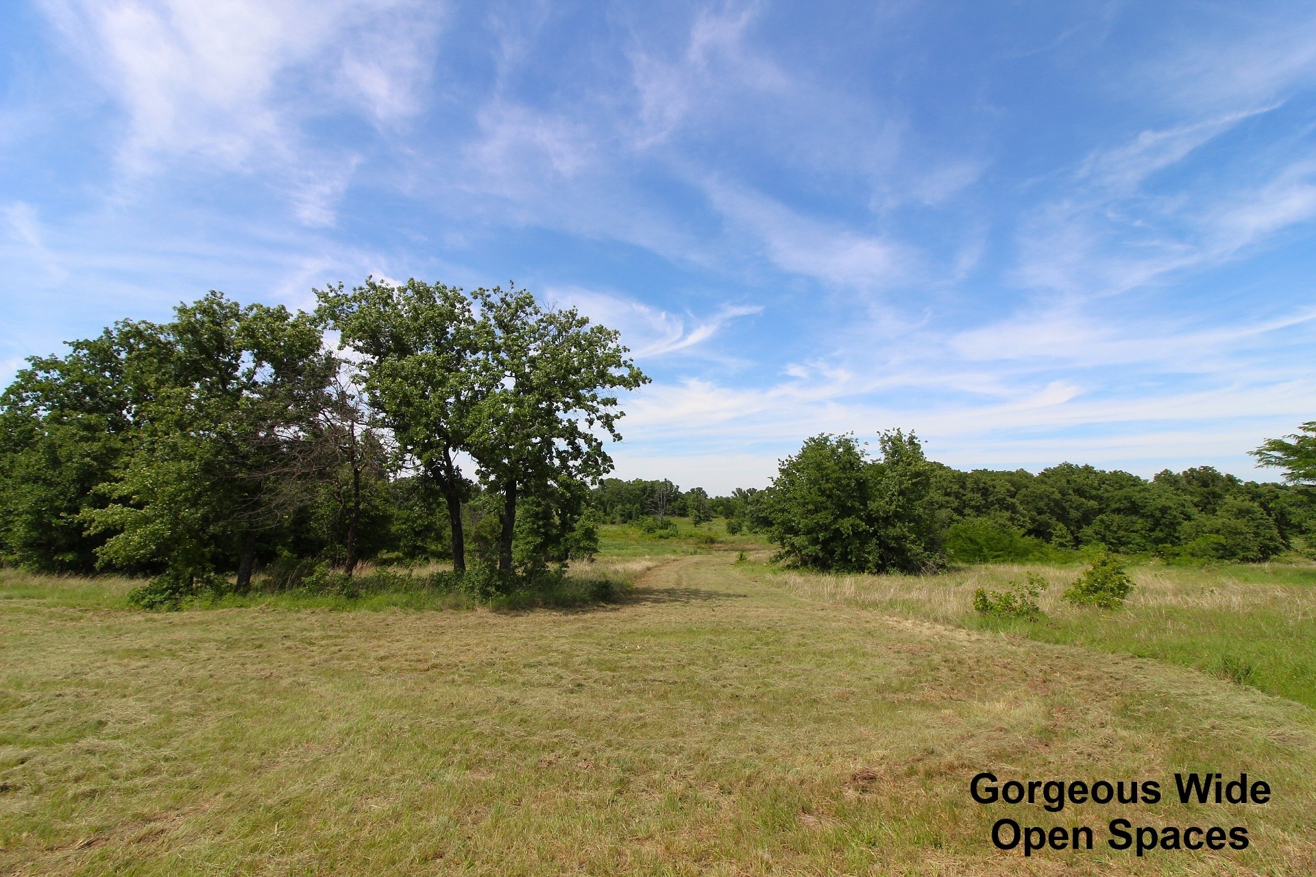 155 Corado Road Montague TX 76251