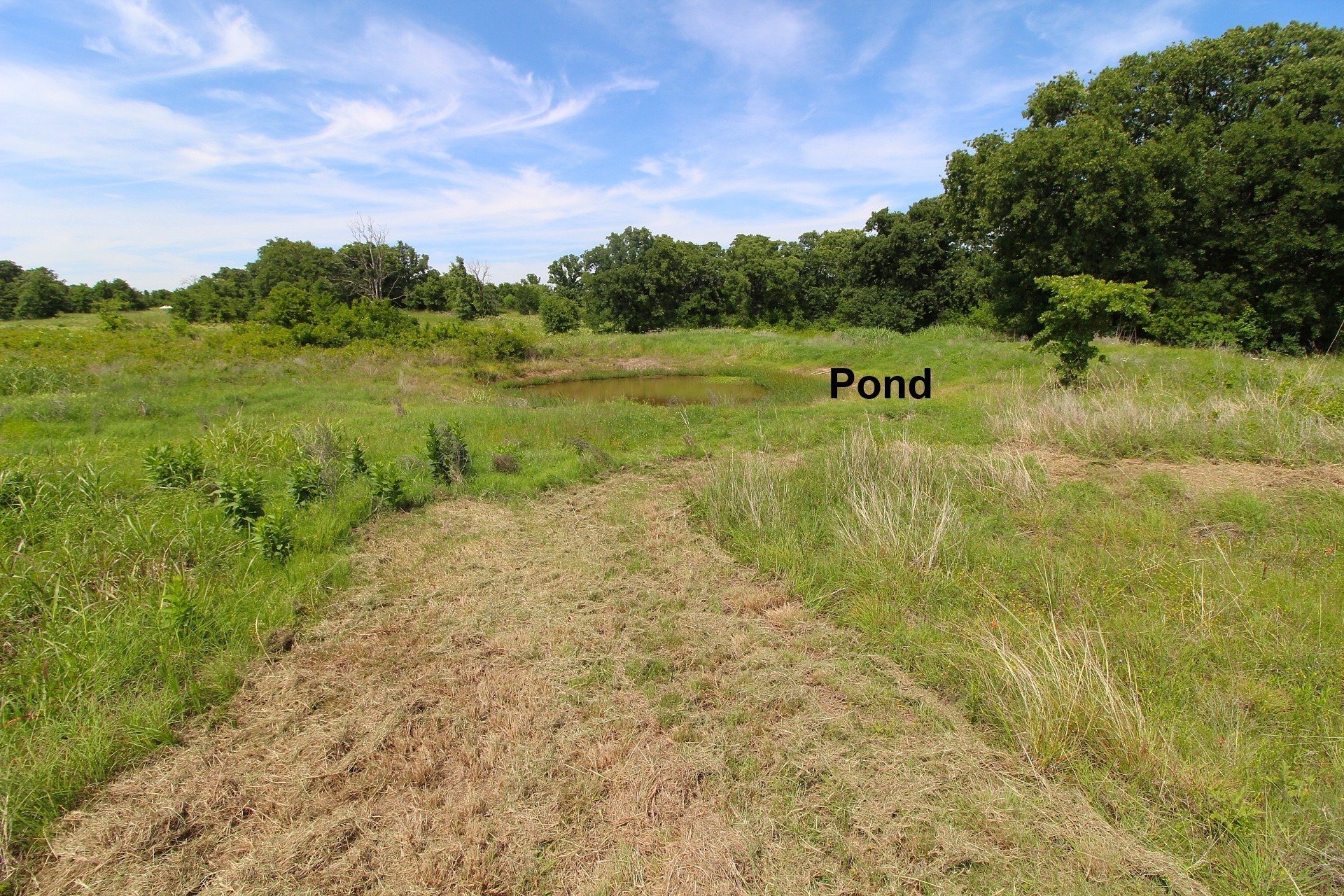155 Corado Road Montague TX 76251