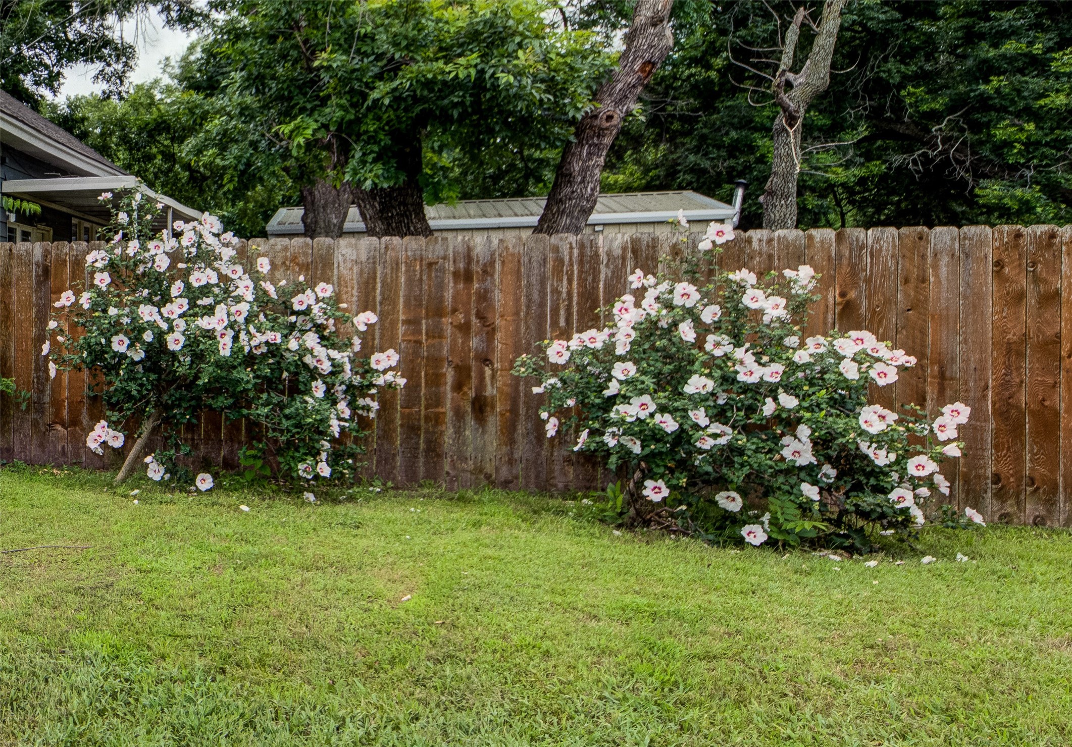 200 S Crane Street Alvord TX 76225