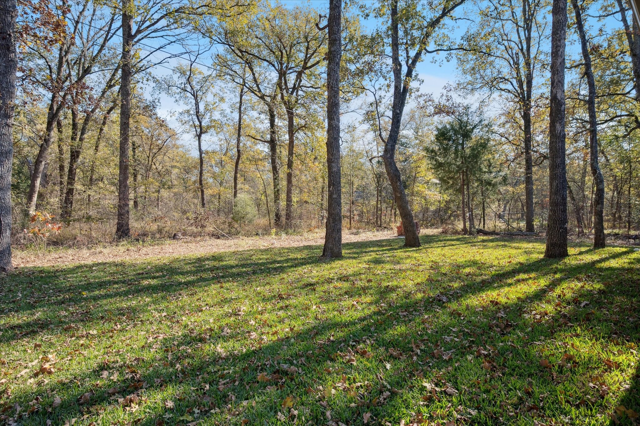208 Driftwood Drive Trinidad TX 75163