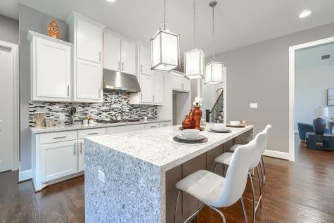 1224 Damsel Grey Trail Lewisville TX 75056