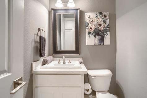 1224 Damsel Grey Trail Lewisville TX 75056
