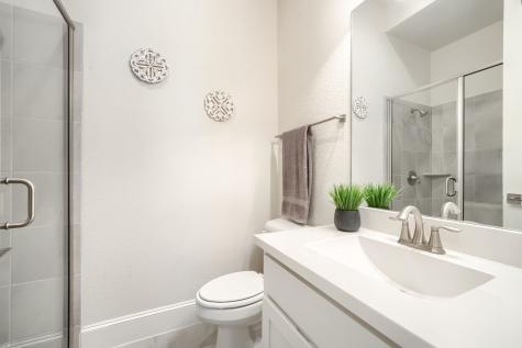 1224 Damsel Grey Trail Lewisville TX 75056